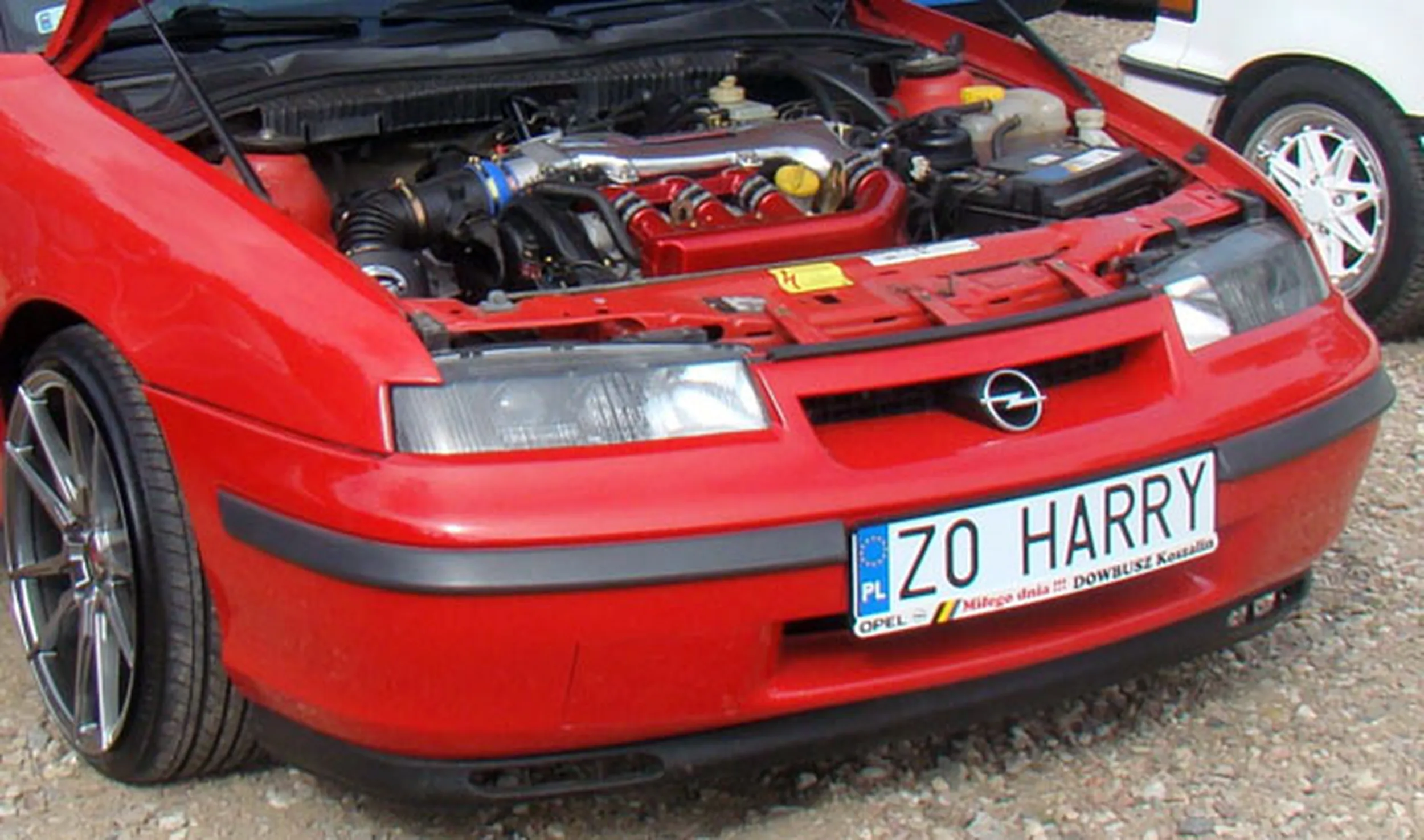 Fajny numer, blacha Z0 HARRY