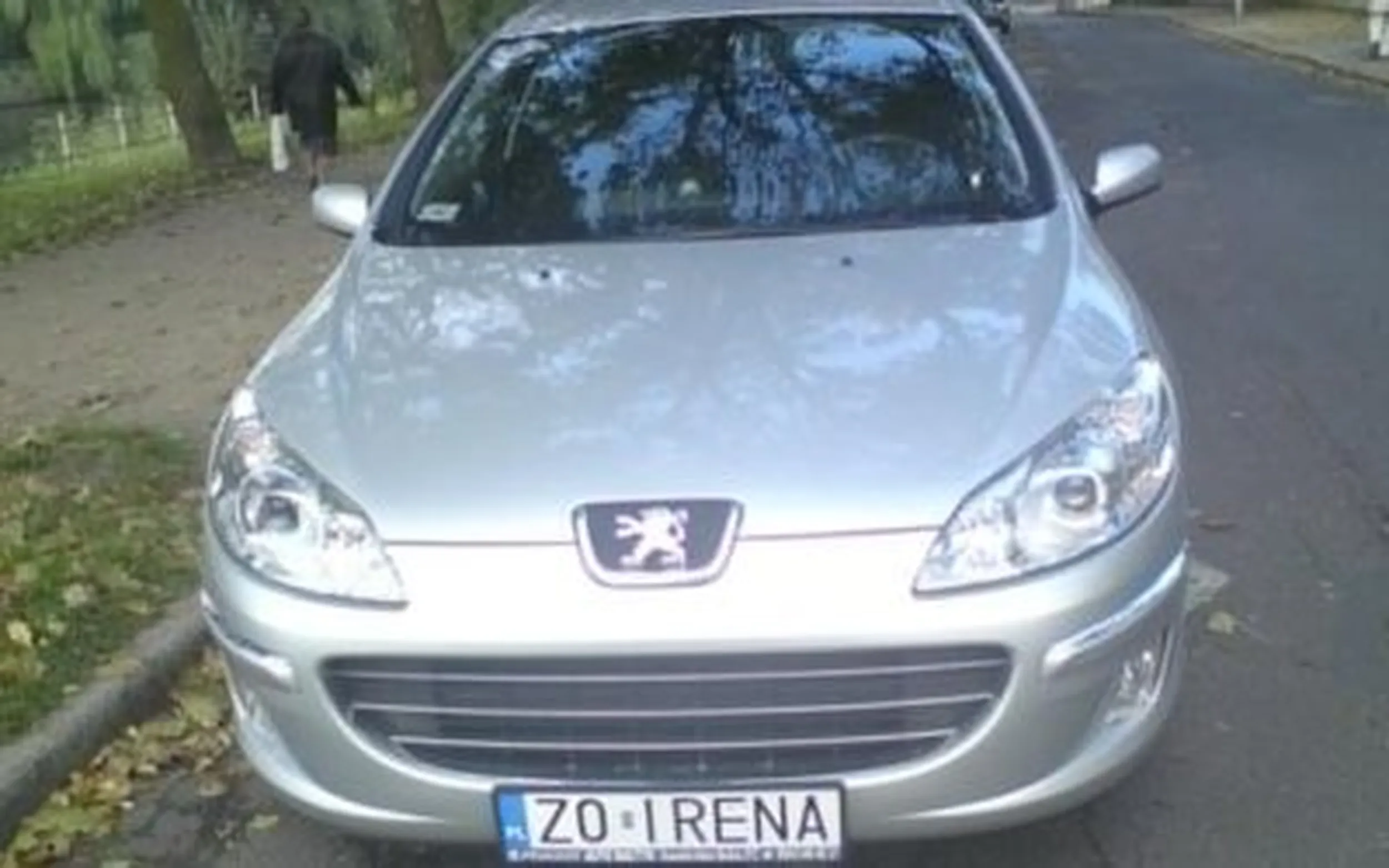 Fajny numer, blacha Z0 IRENA