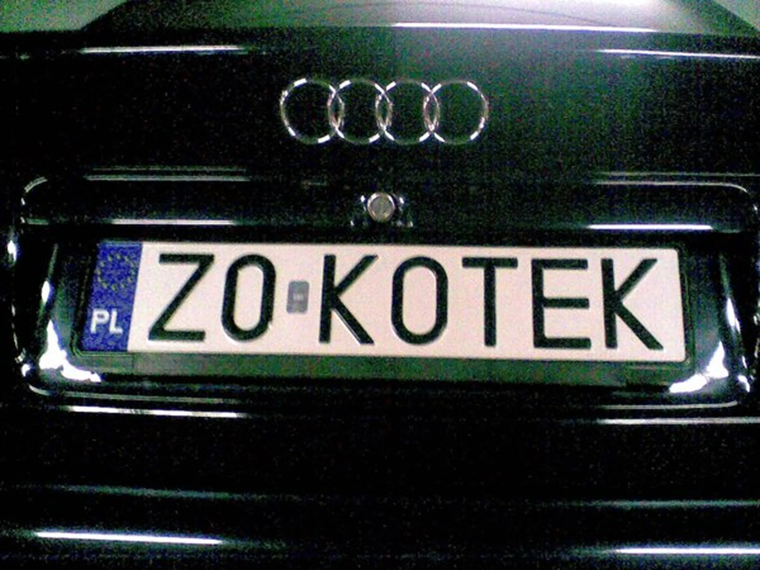 Fajny numer, blacha Z0 KOTEK