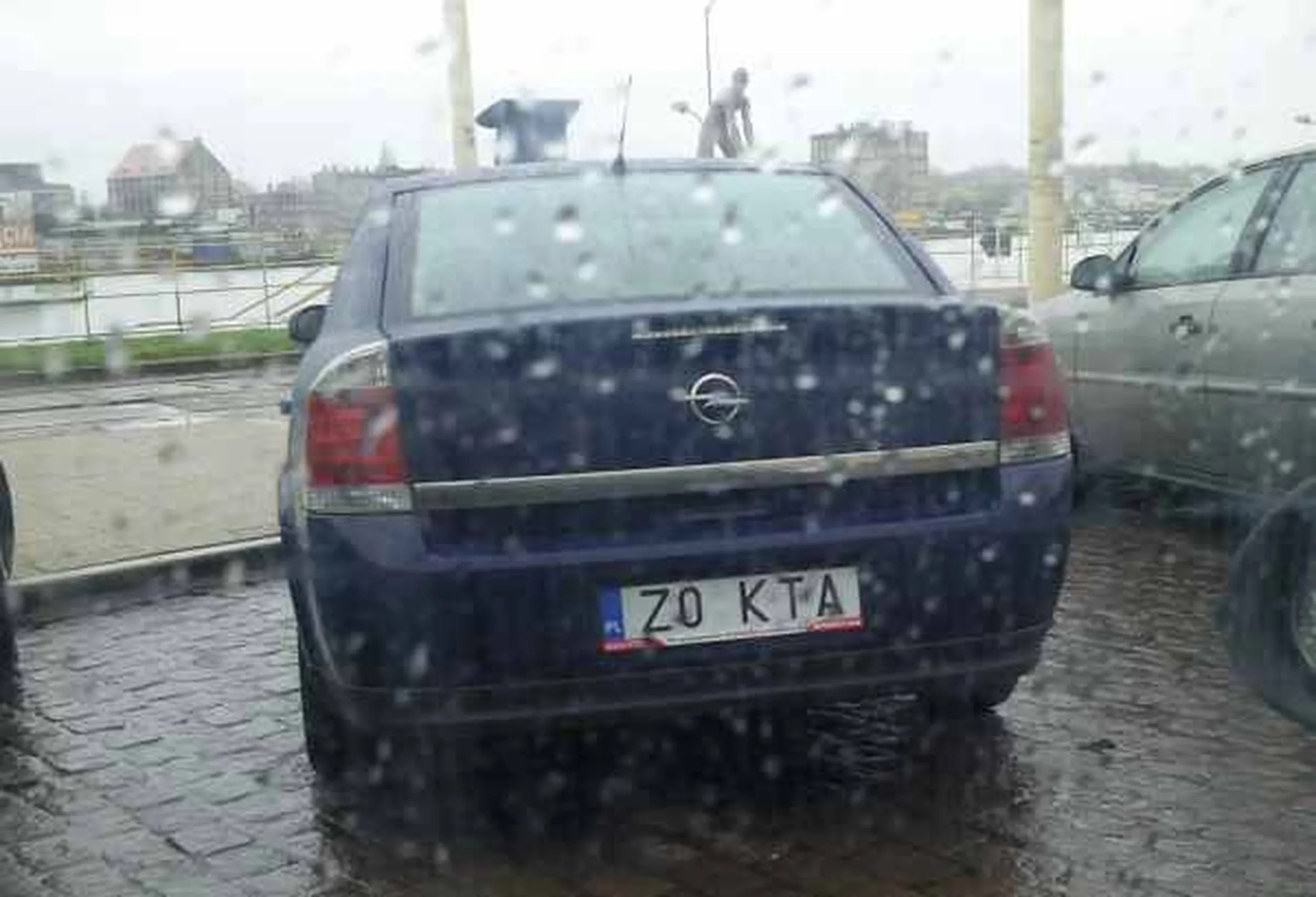 Fajny numer, blacha Z0 KTA