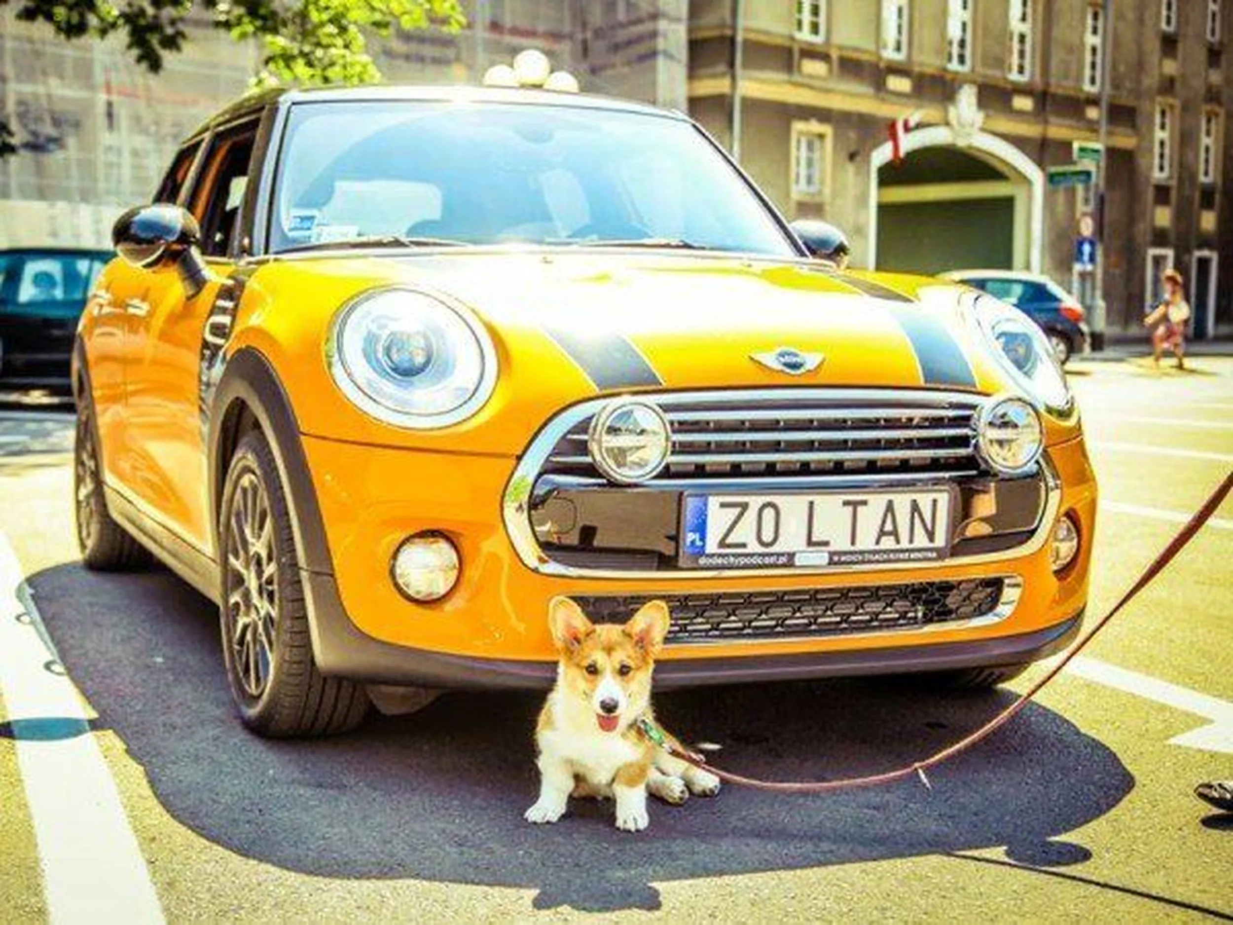 Fajny numer, blacha Z0 LTAN