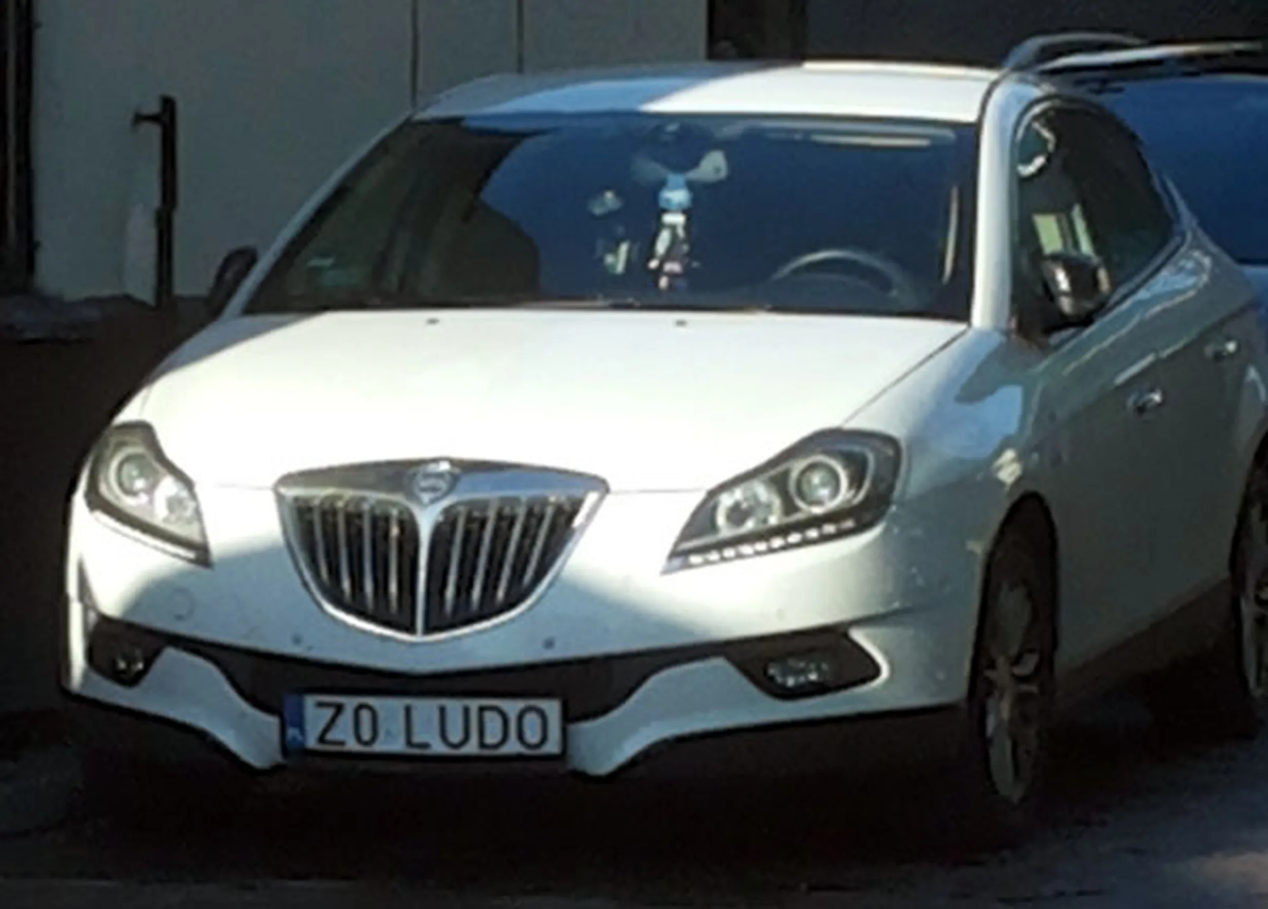 Fajny numer, blacha Z0 LUDO