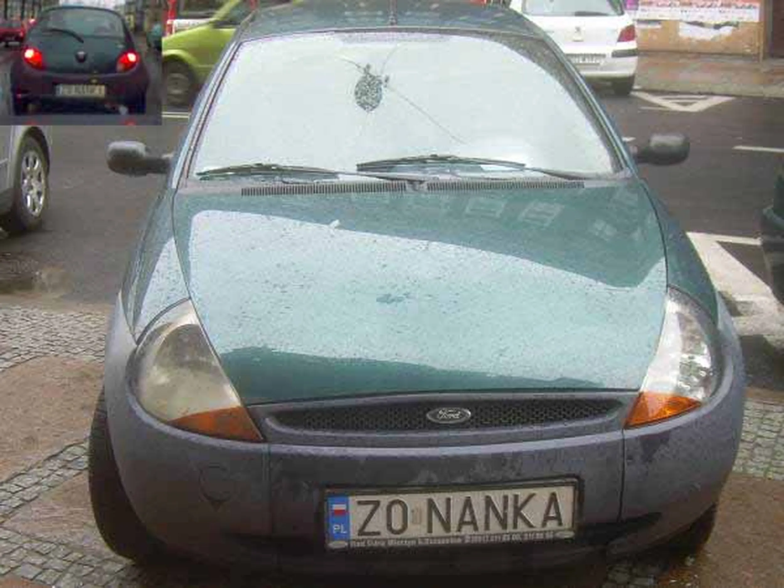 Fajny numer, blacha Z0 NANKA