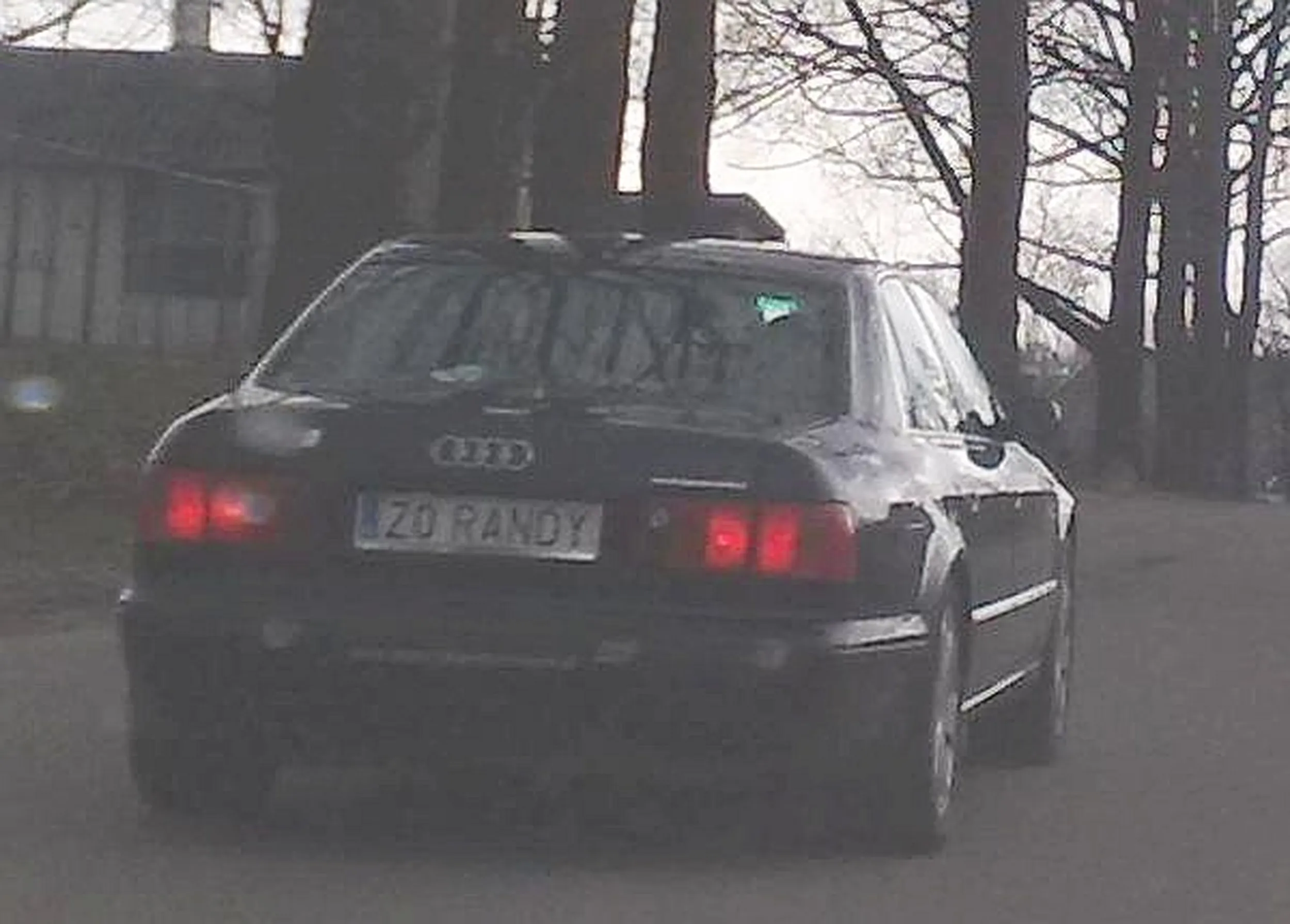 Fajny numer, blacha Z0 RANDY