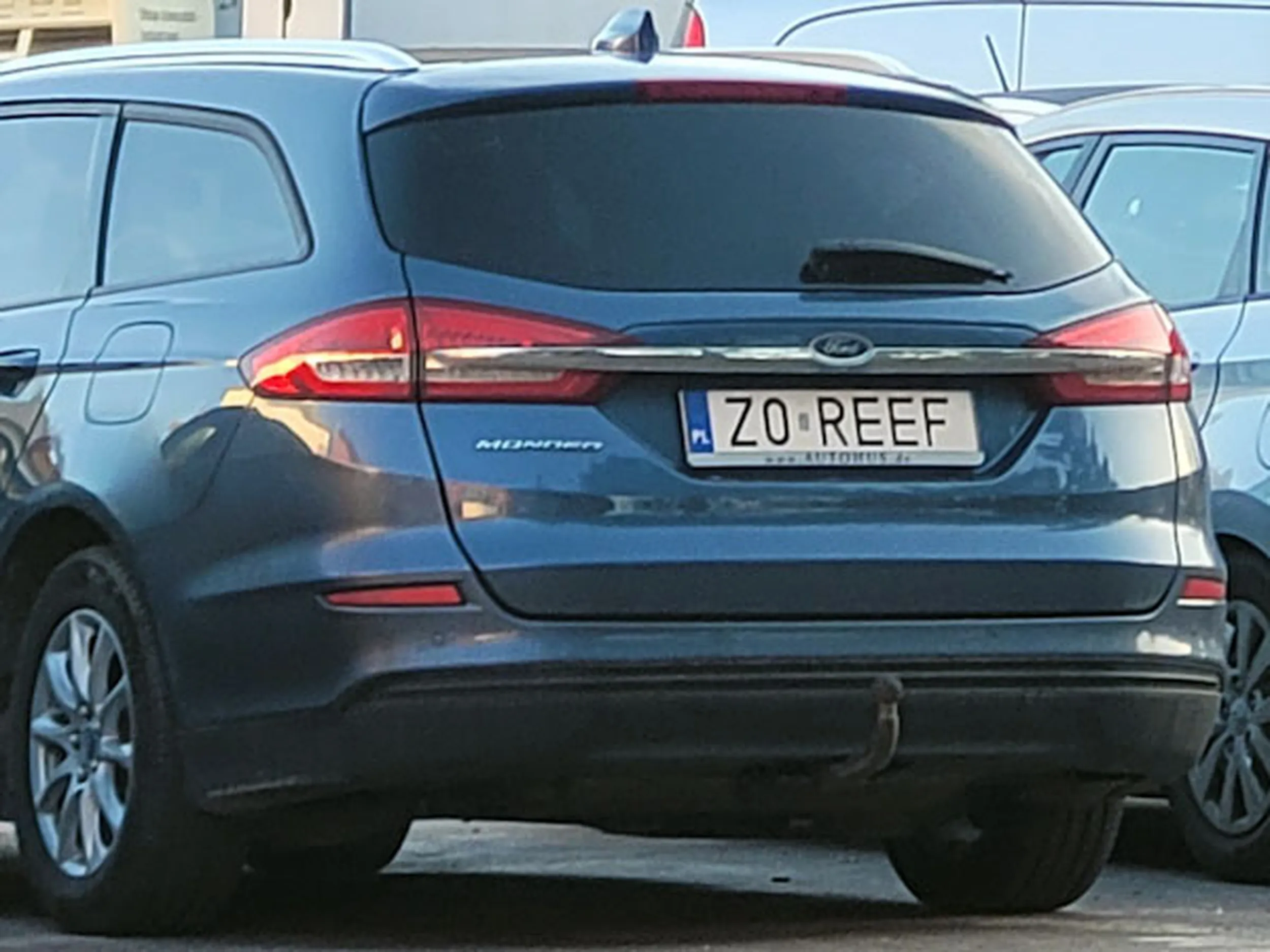 Fajny numer, blacha Z0 REEF