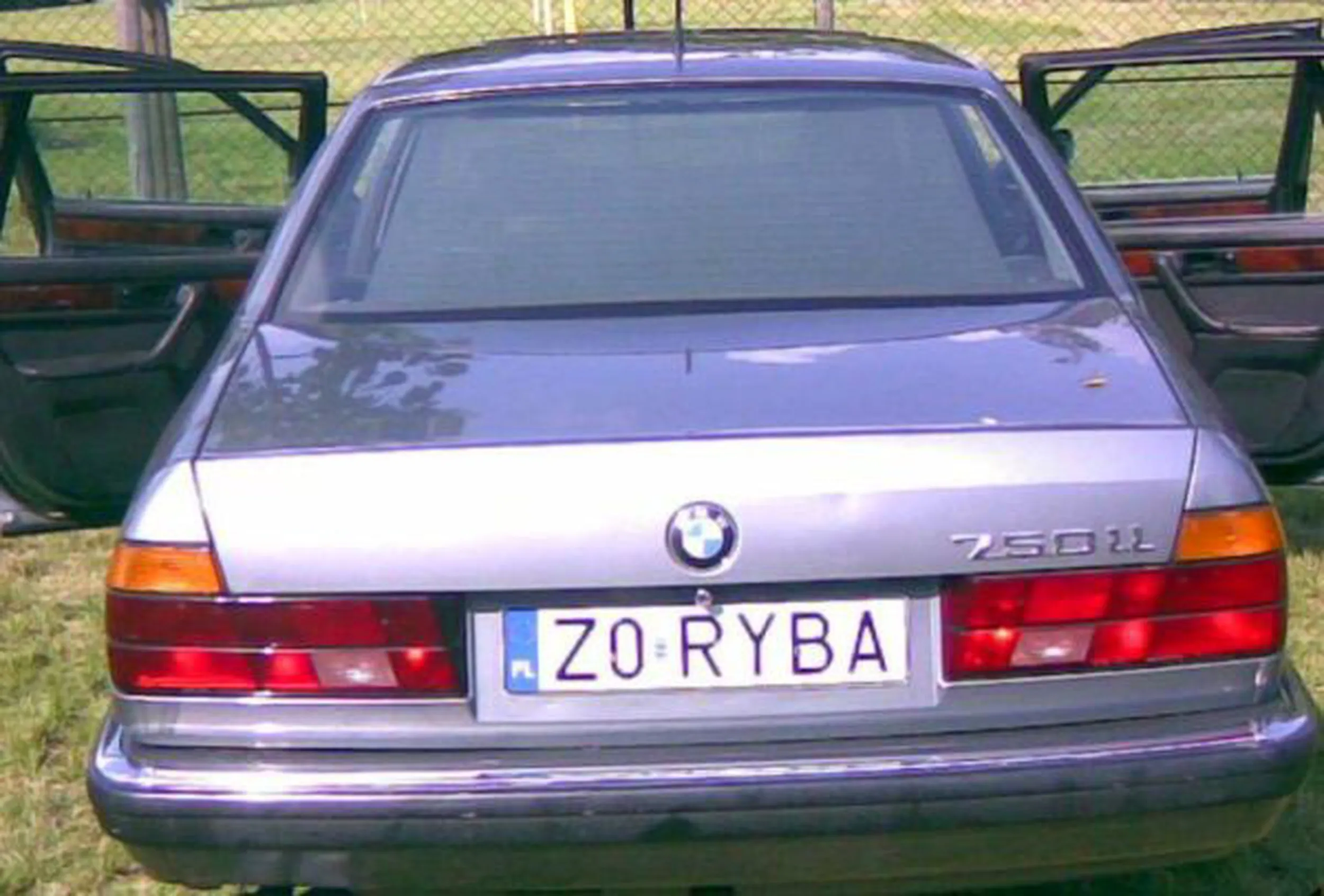 Fajny numer, blacha Z0 RYBA