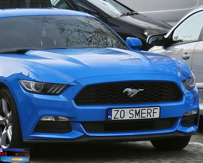 Fajny numer, blacha Z0 SMERF