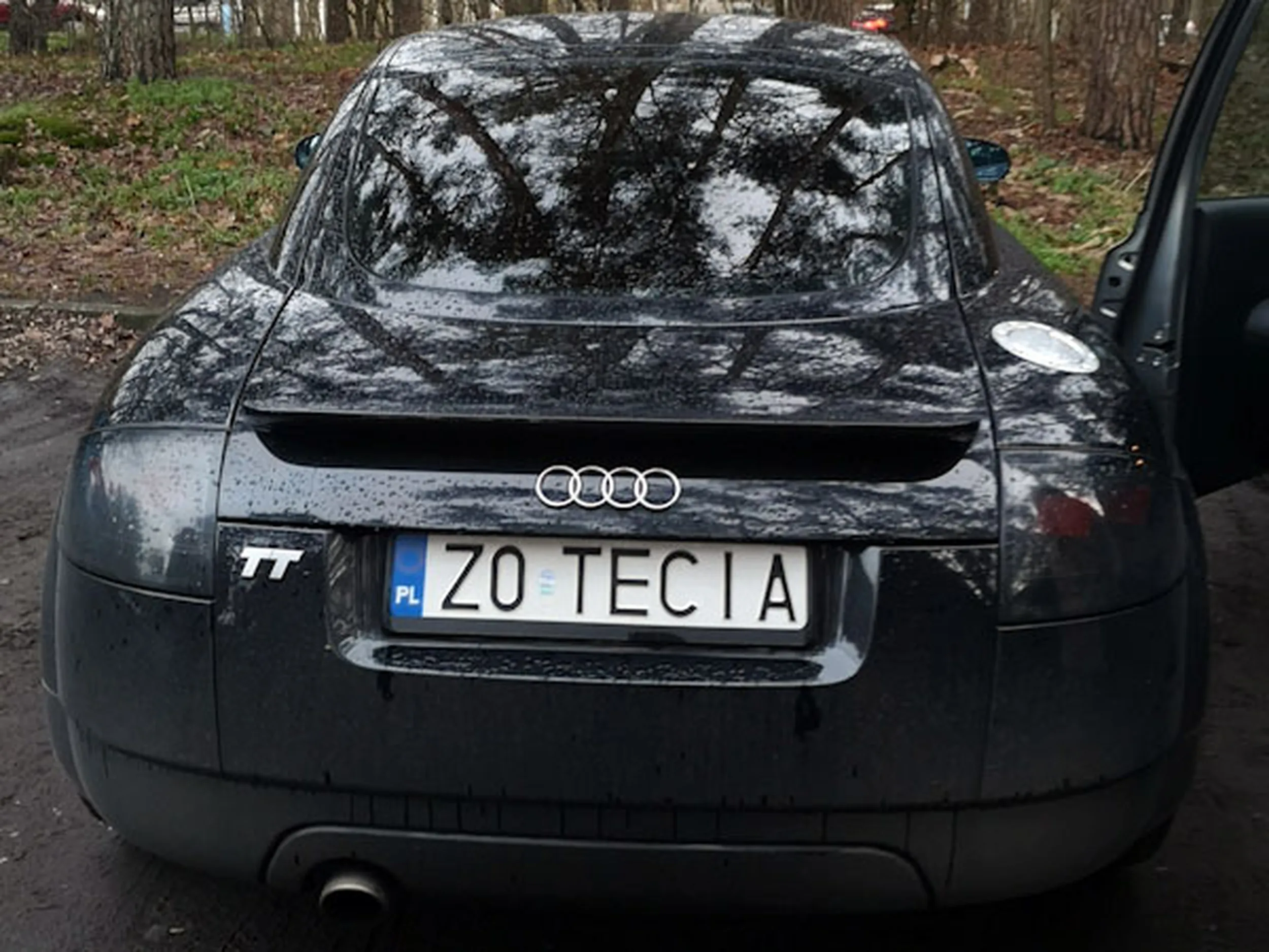 Fajny numer, blacha Z0 TECIA