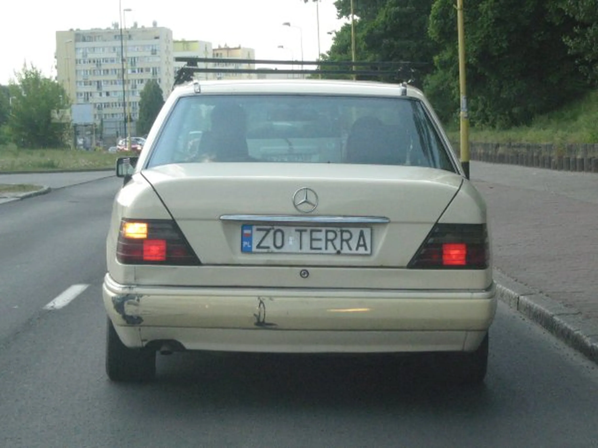 Fajny numer, blacha Z0 TERRA