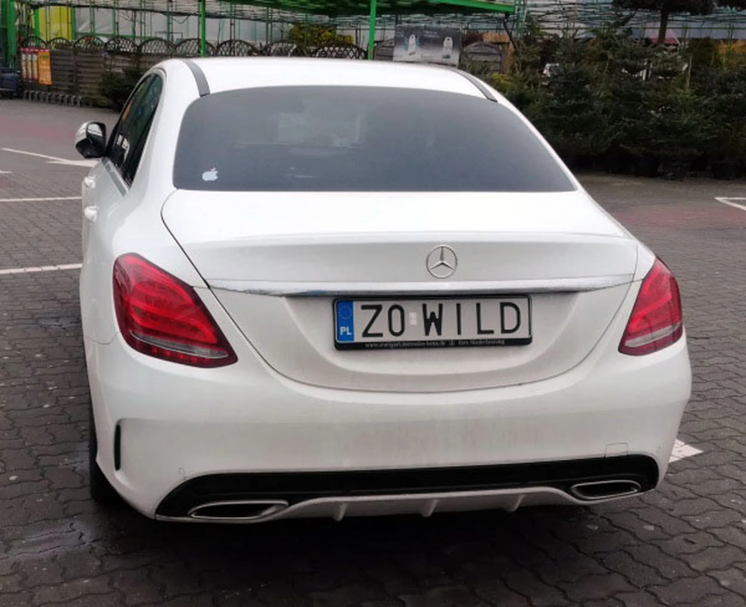 Fajny numer, blacha Z0 WILD