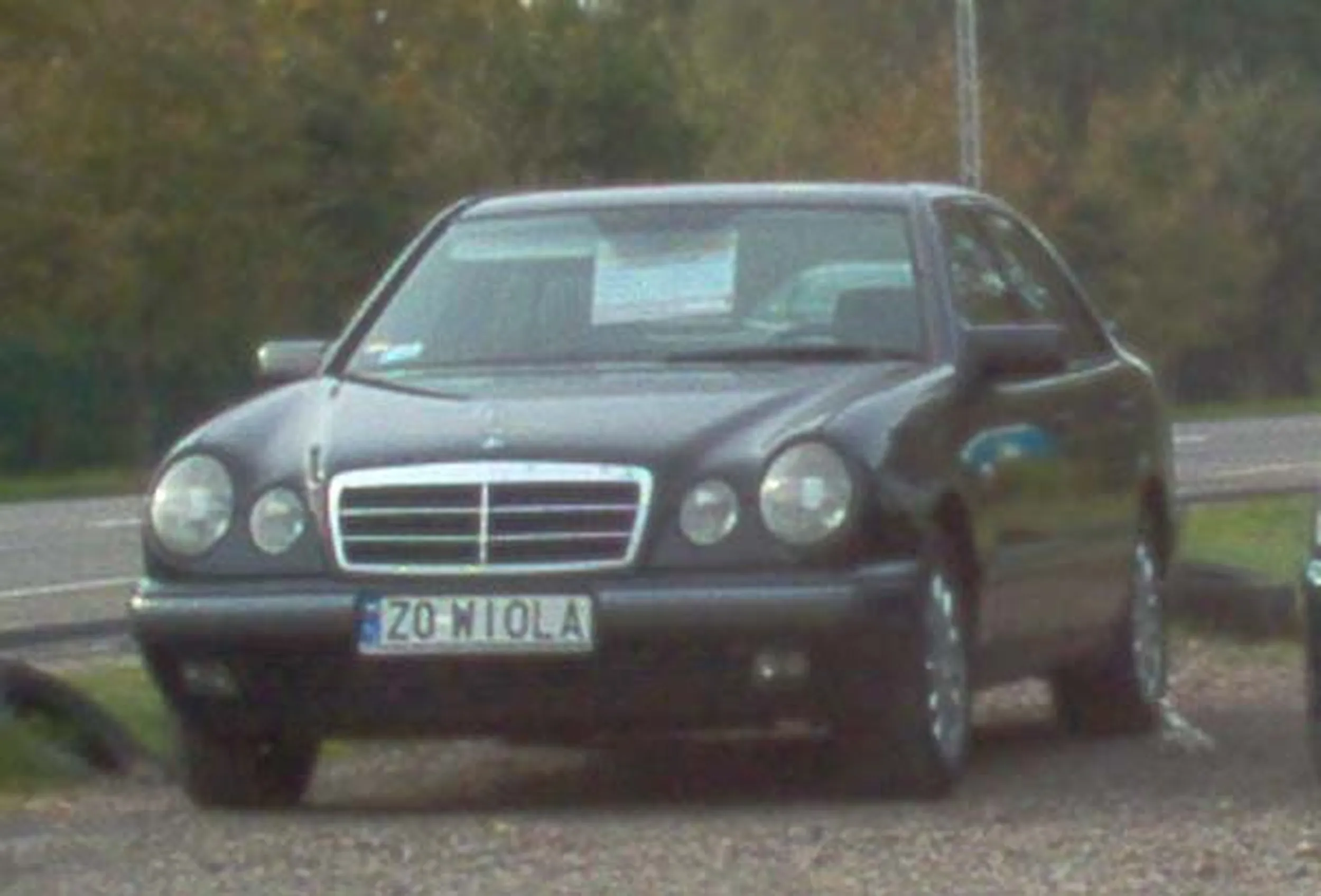 Fajny numer, blacha Z0 WIOLA