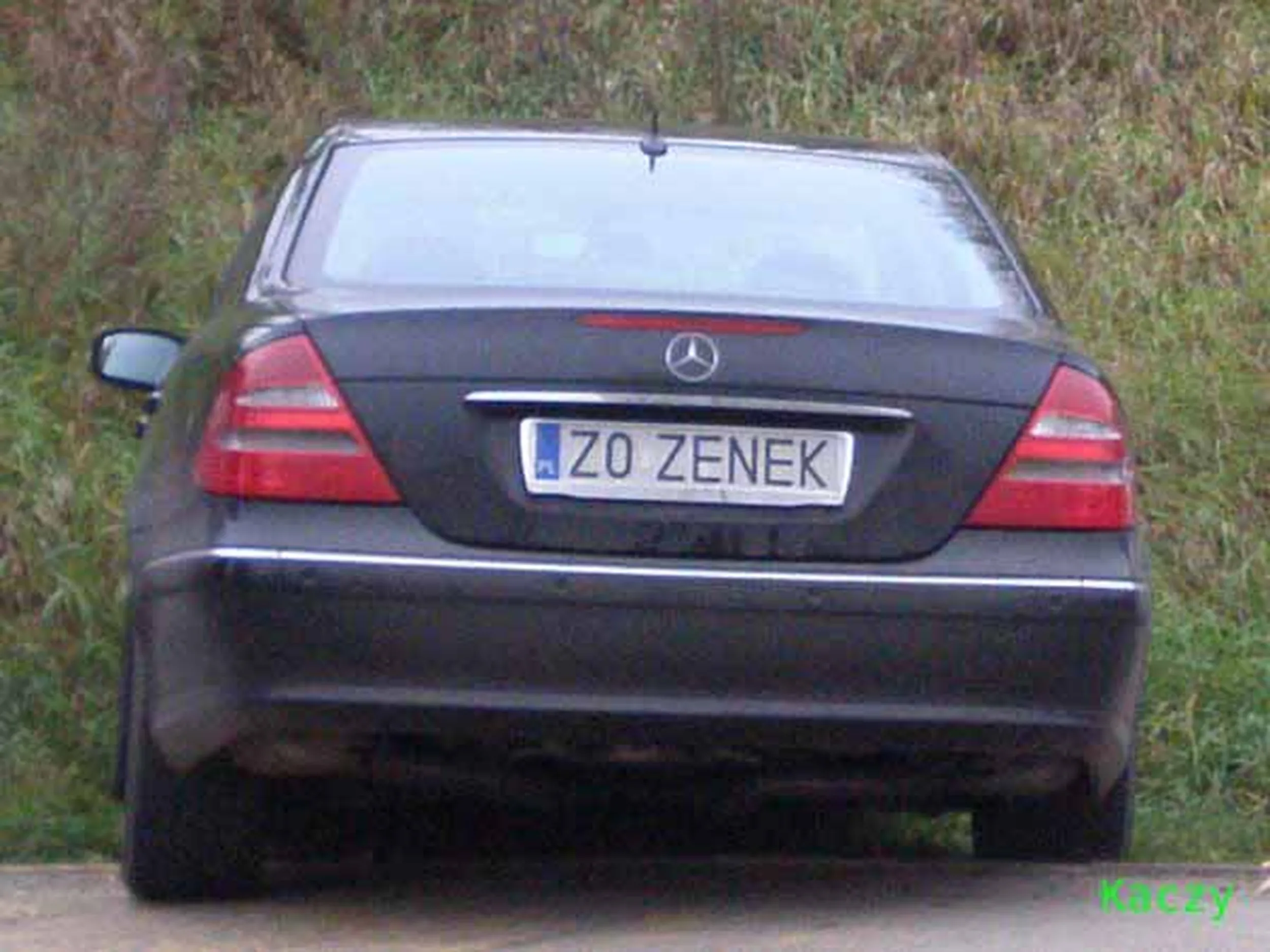 Fajny numer, blacha Z0 ZENEK