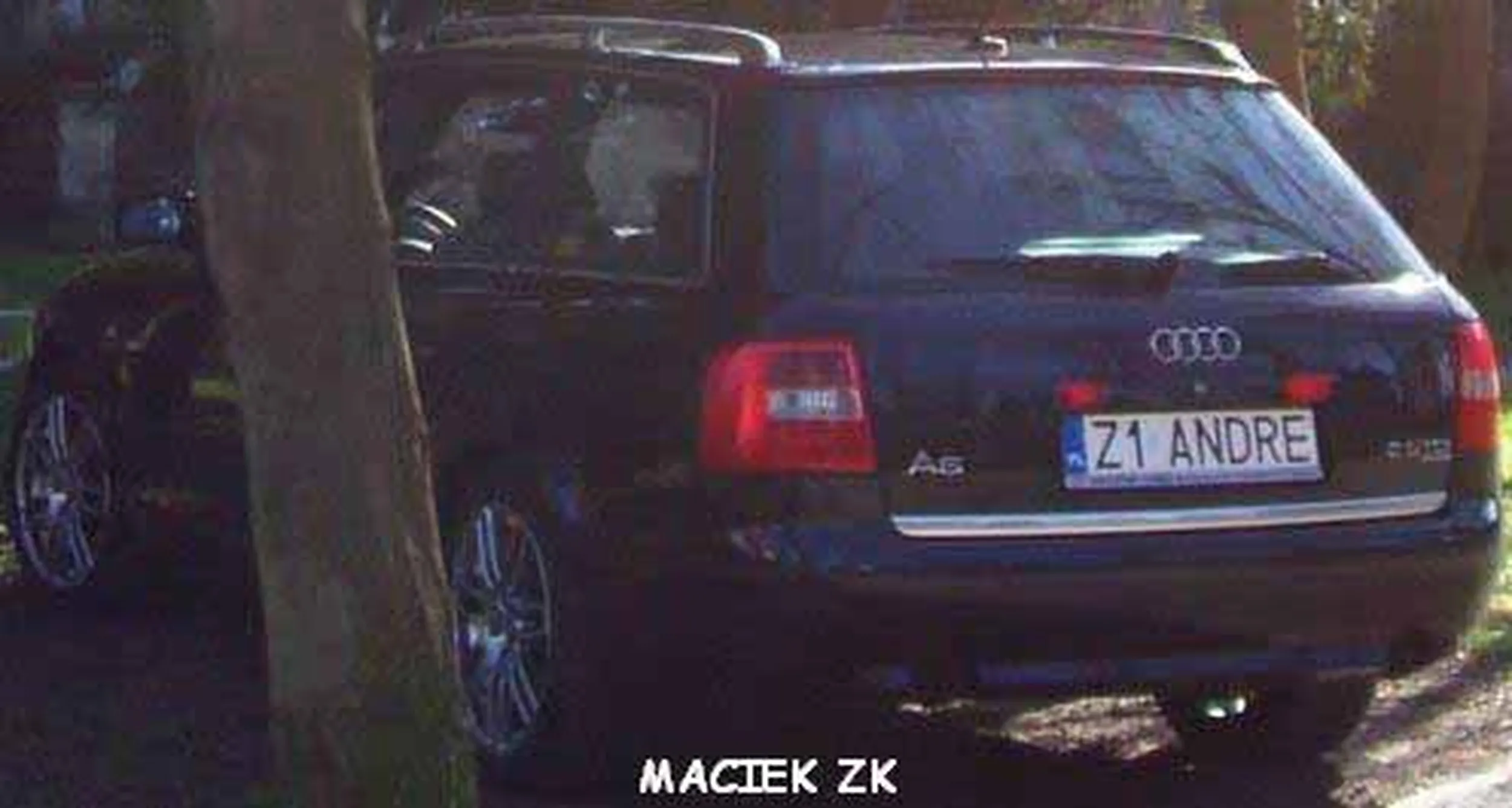 Fajny numer, blacha Z1 ANDRE