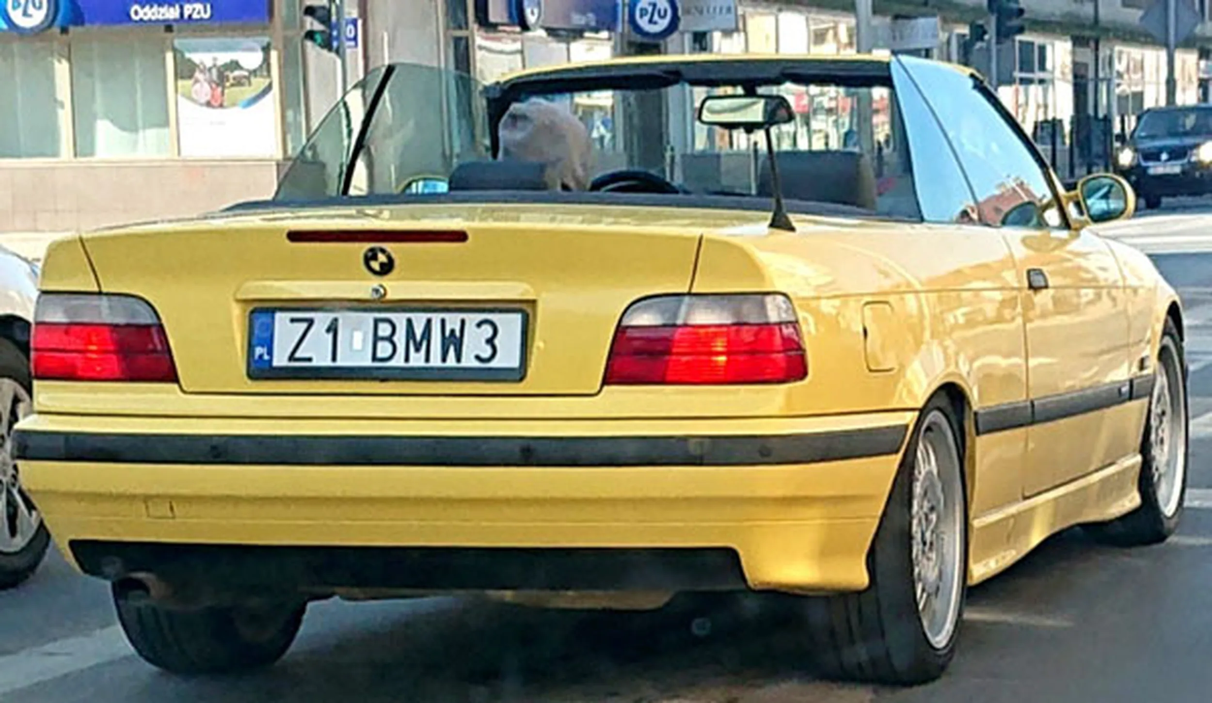 Fajny numer, blacha Z1 BMW3