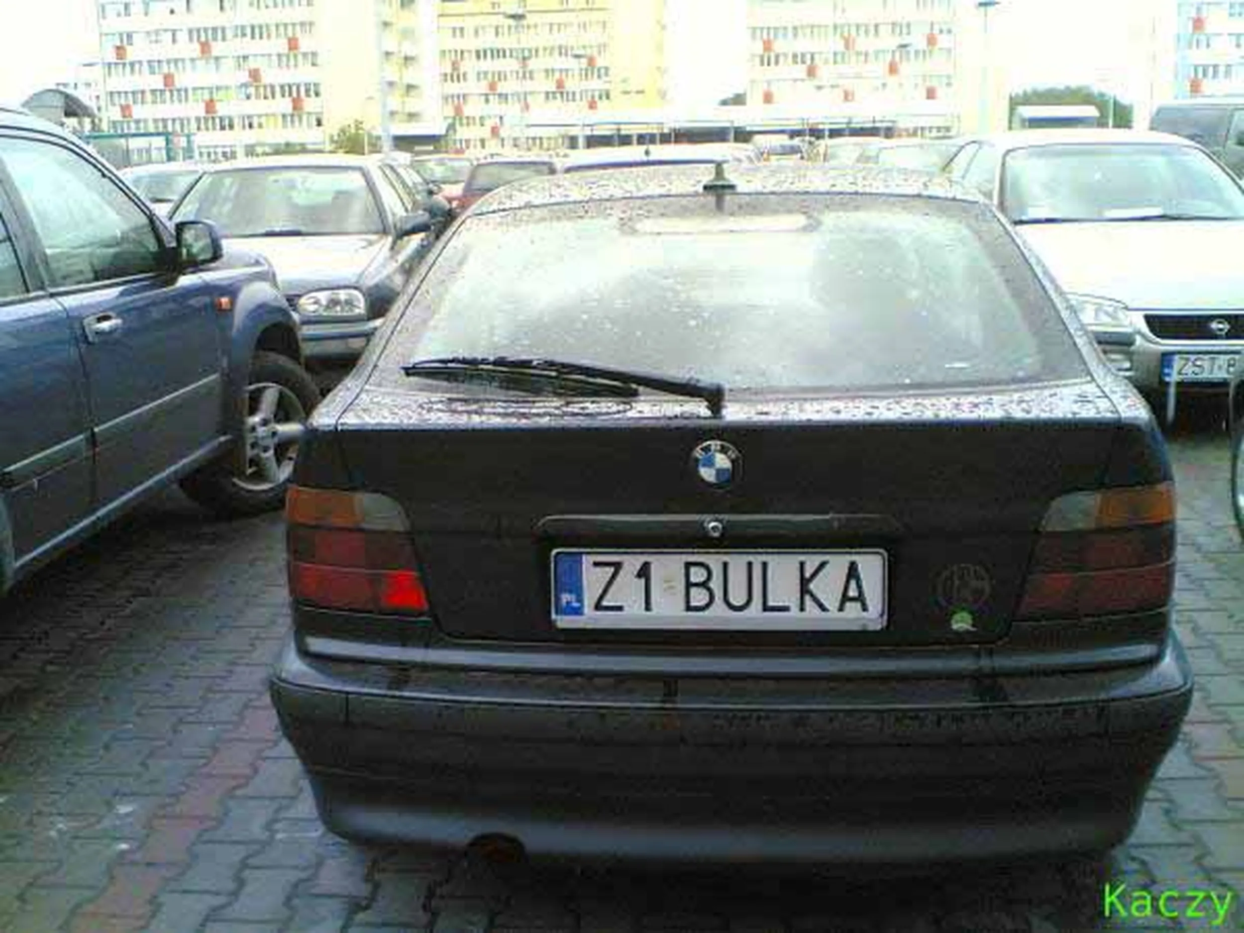 Fajny numer, blacha Z1 BULKA