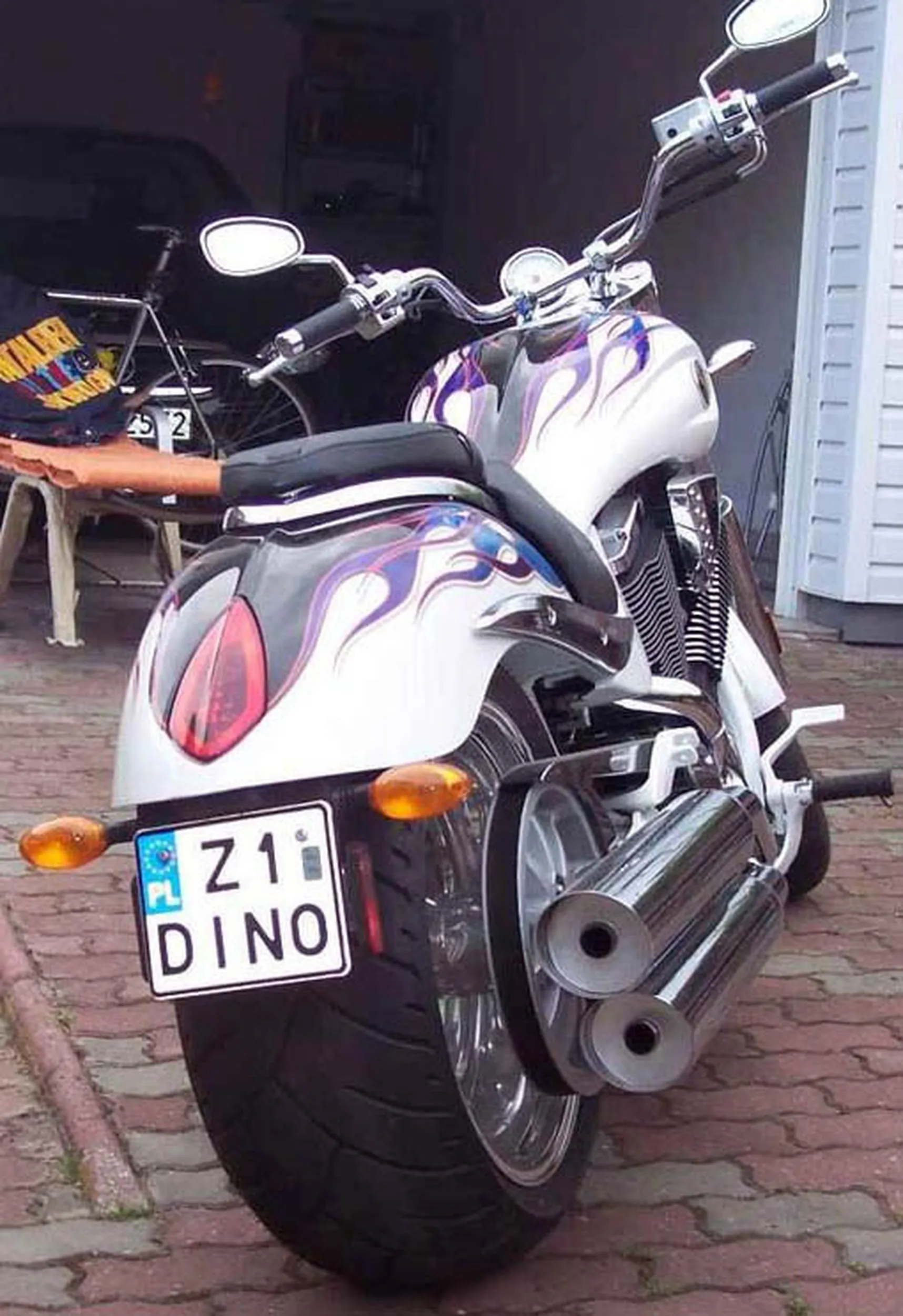 Fajny numer, blacha Z1 DINO