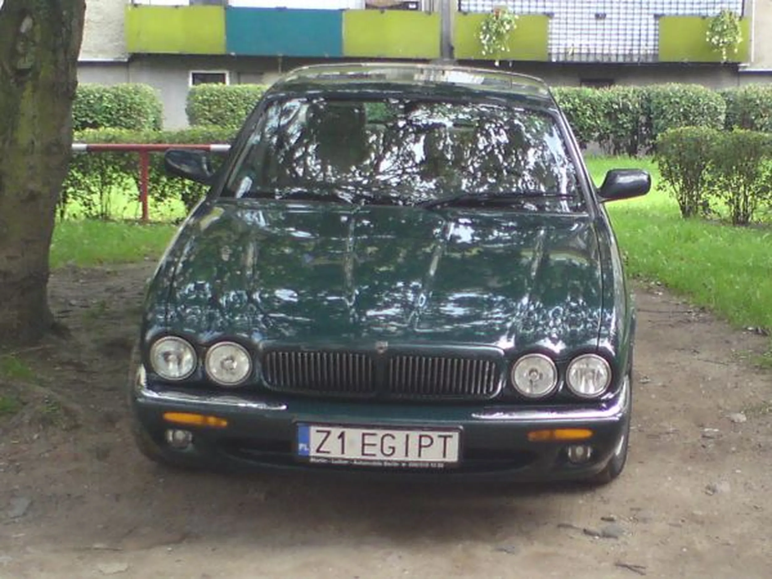 Fajny numer, blacha Z1 EGIPT