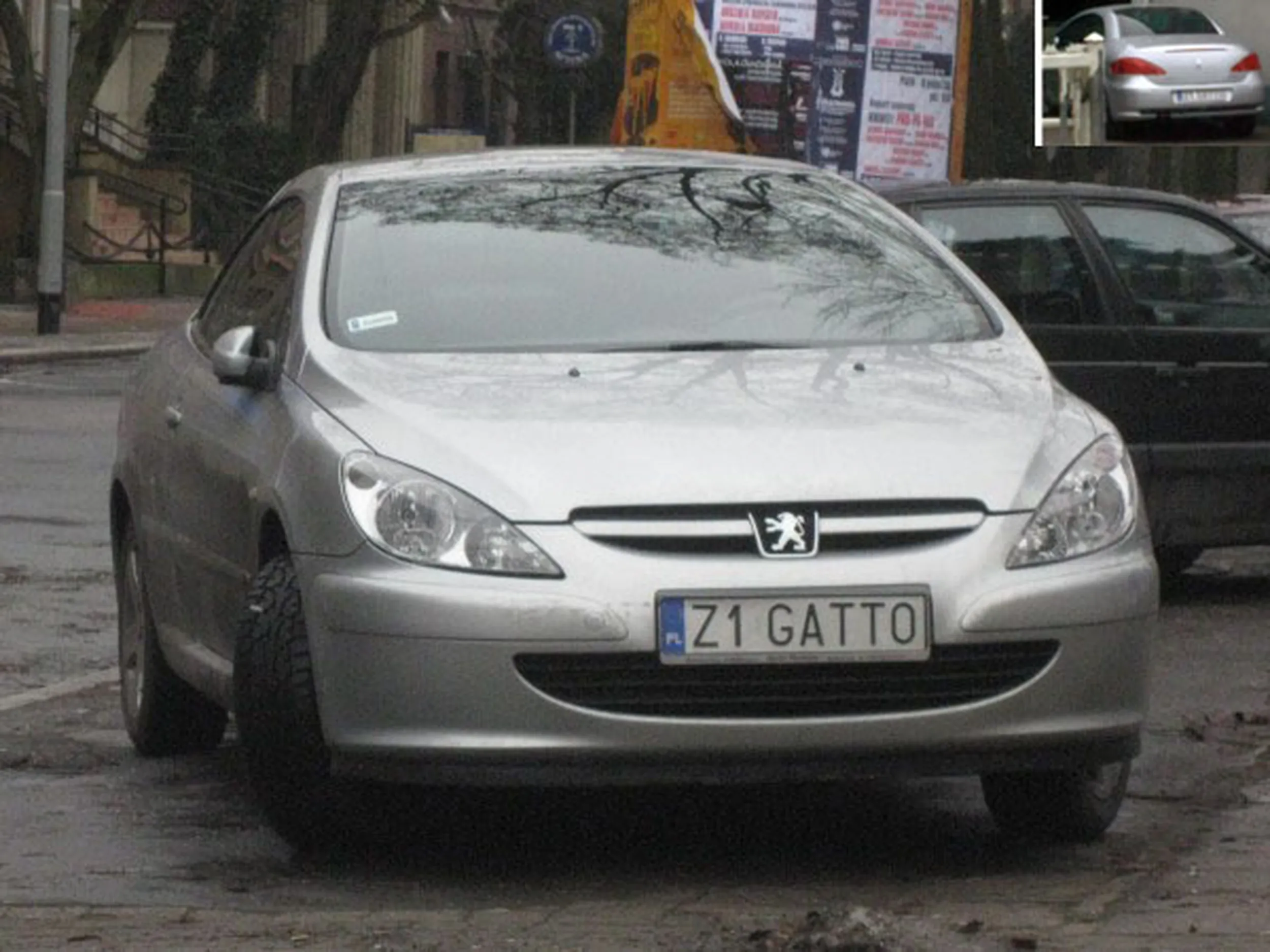 Fajny numer, blacha Z1 GATTO