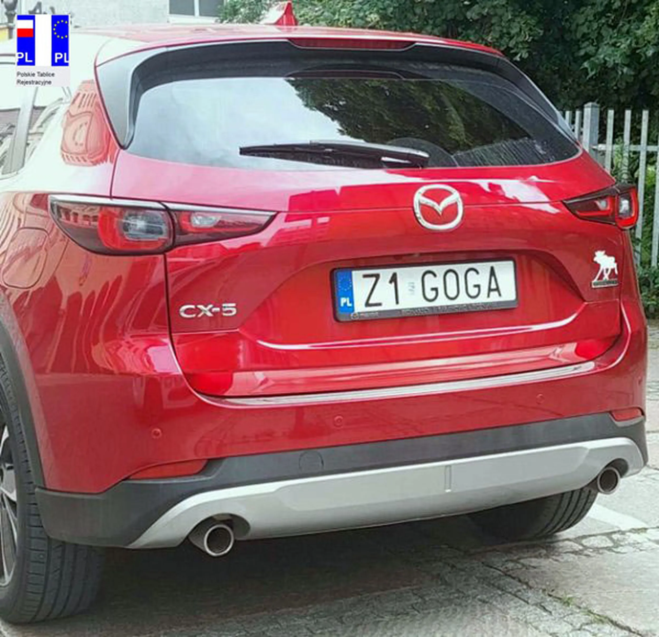 Fajny numer, blacha Z1 GOGA