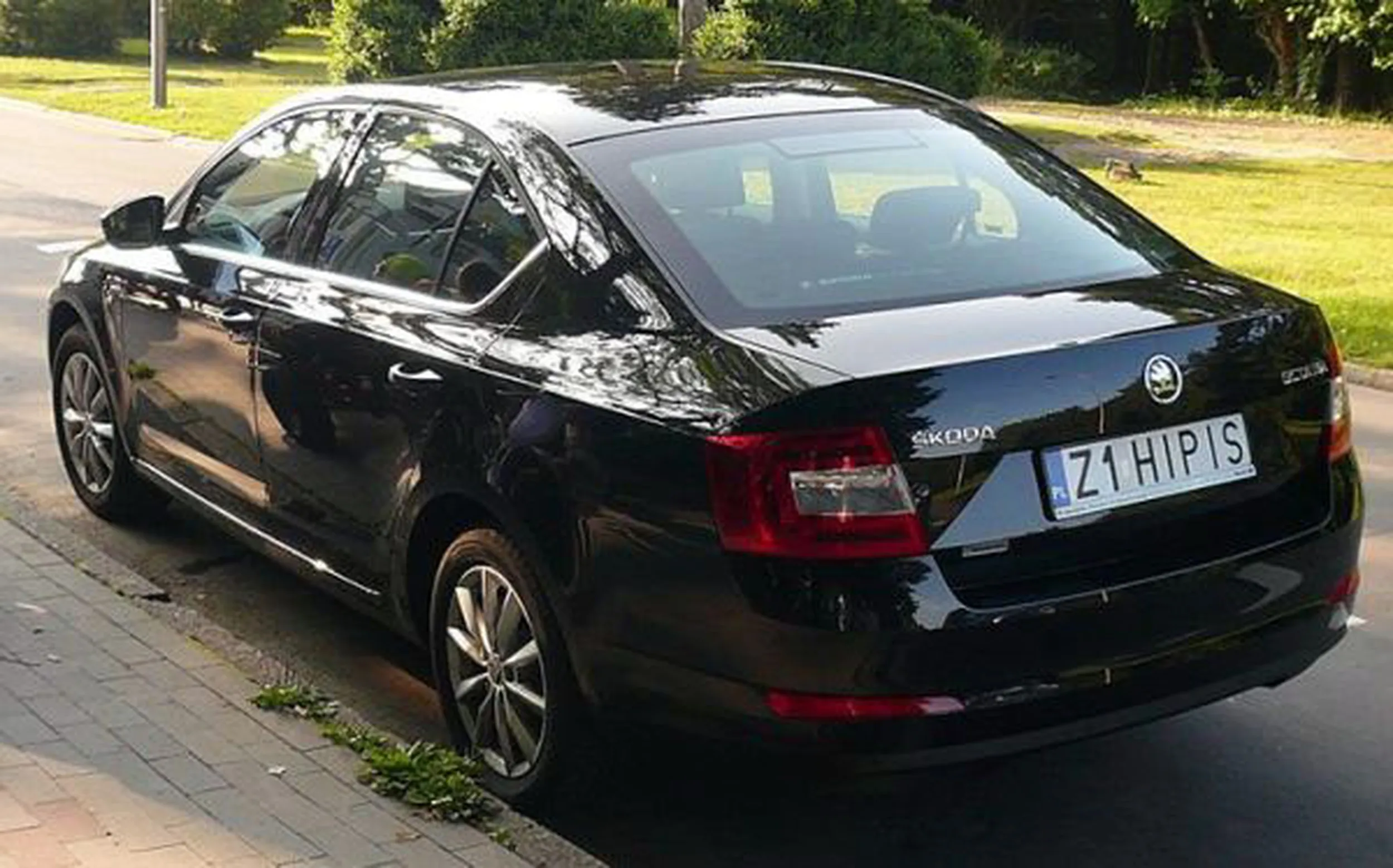 Fajny numer, blacha Z1 HIPIS