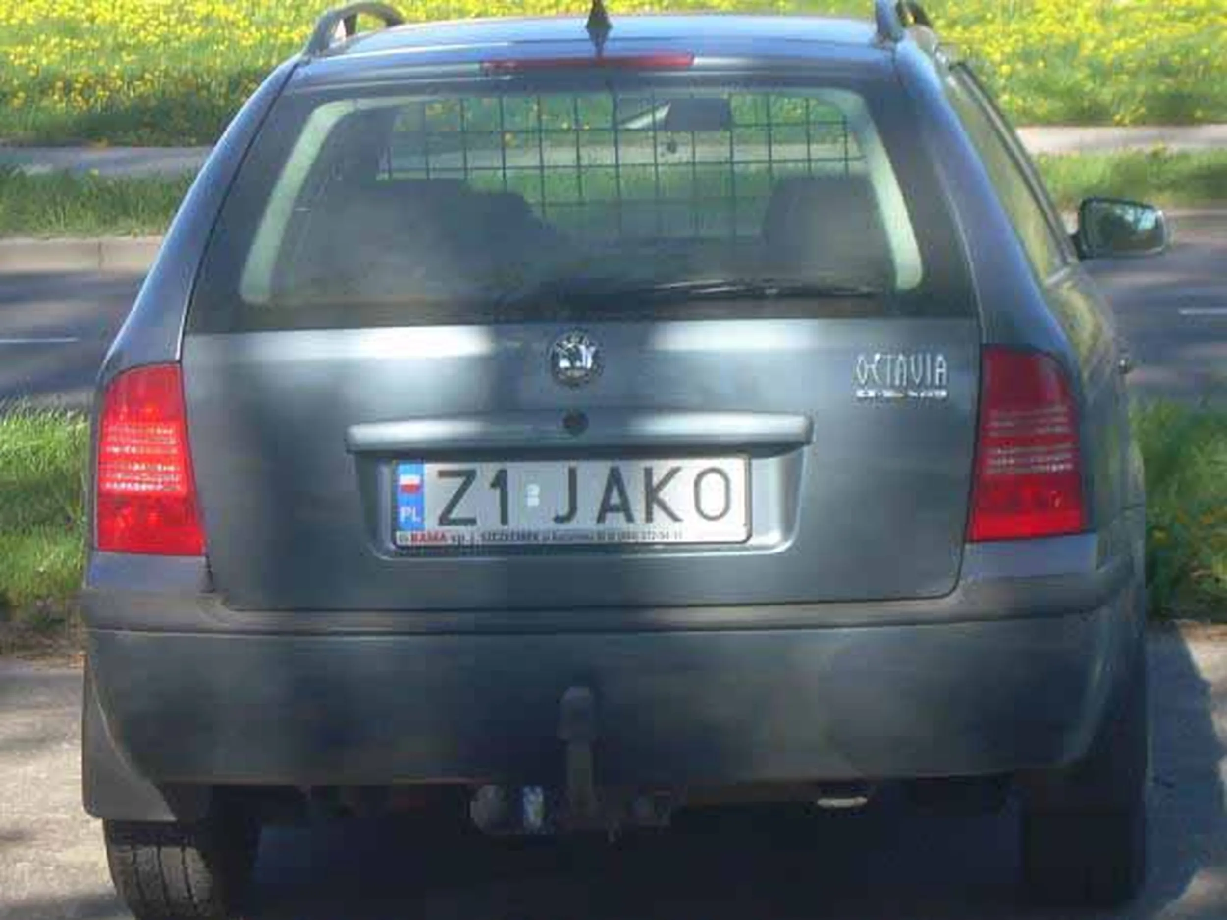 Fajny numer, blacha Z1 JAKO