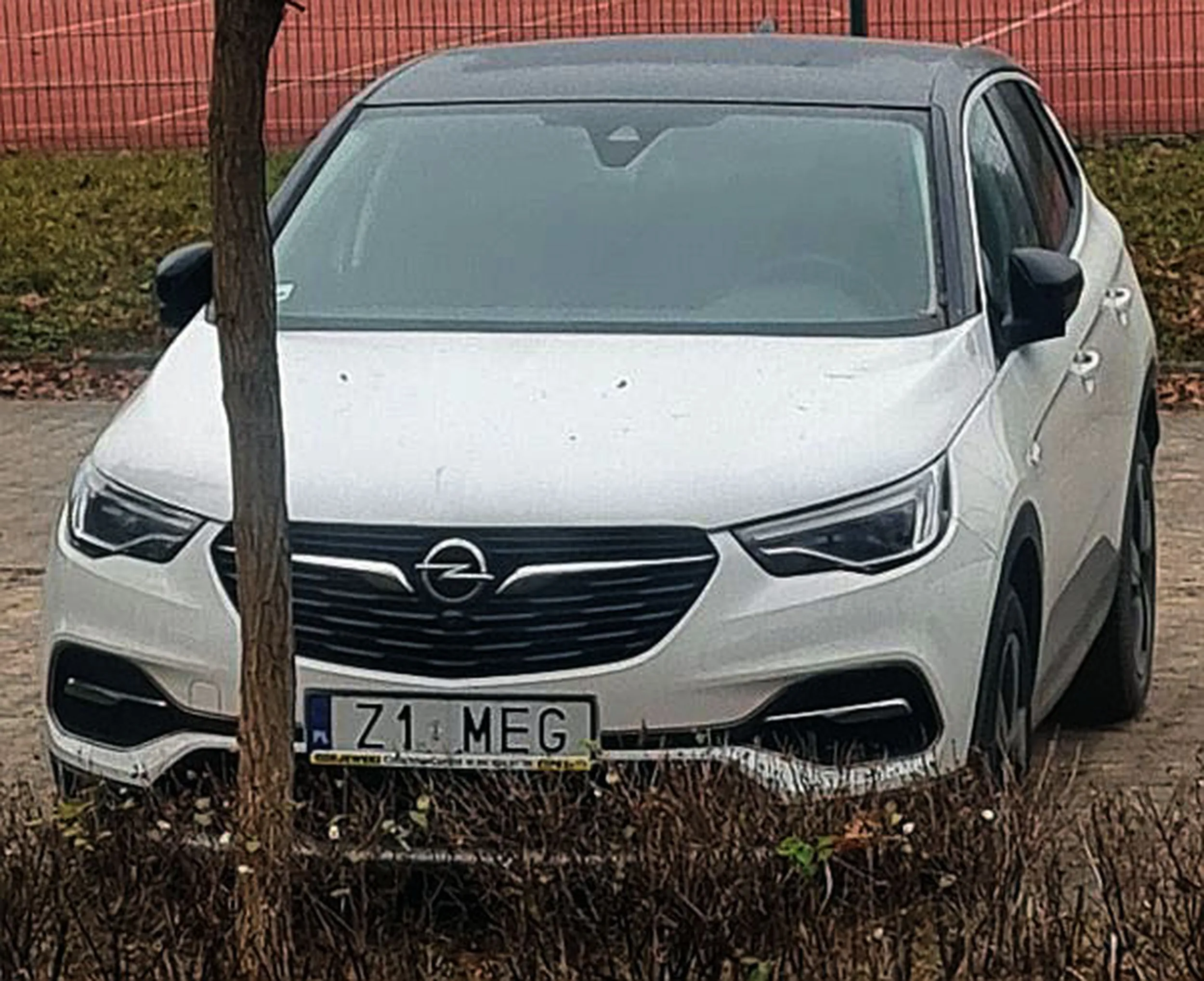 Fajny numer, blacha Z1 MEG