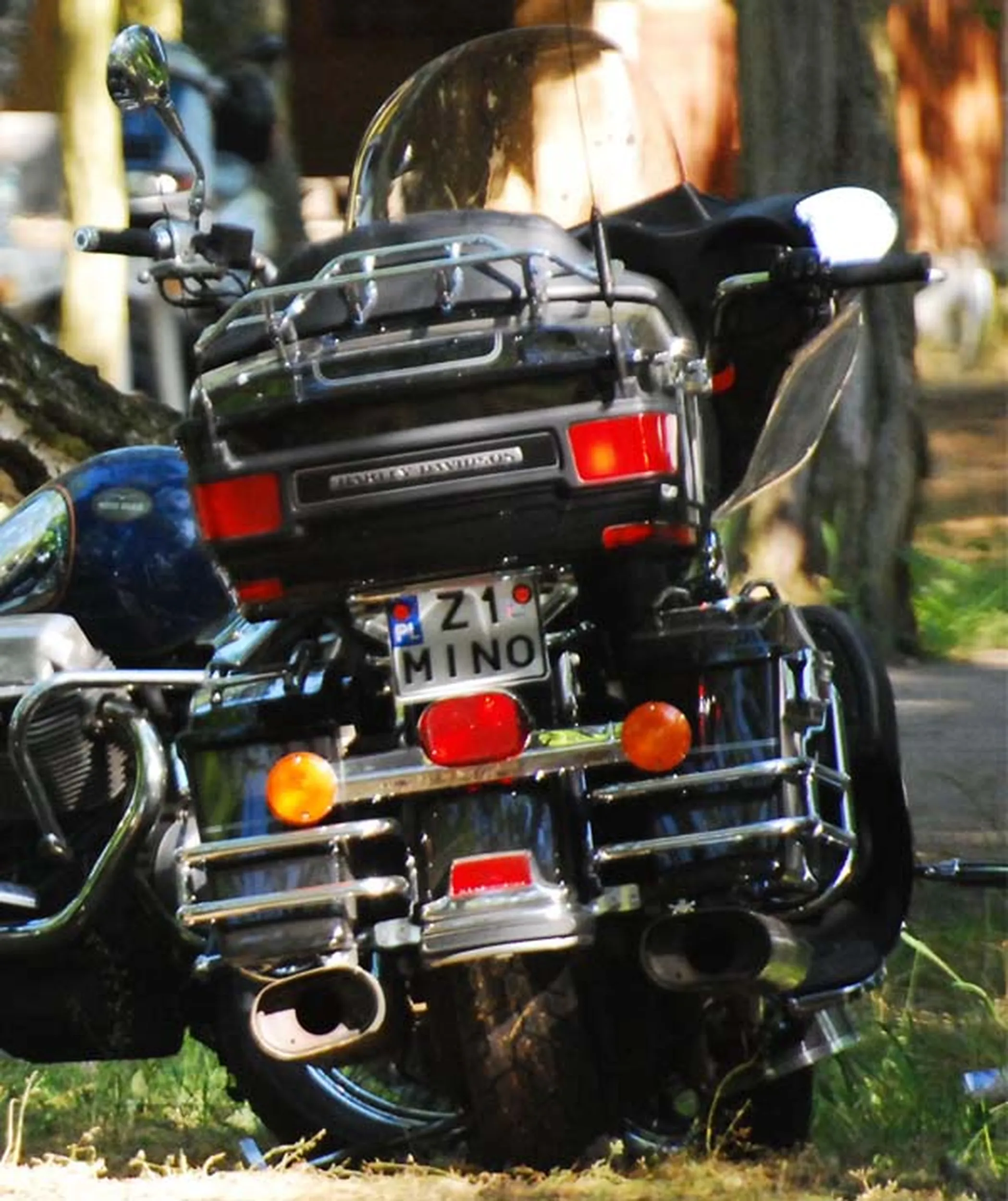 Fajny numer, blacha Z1 MINO