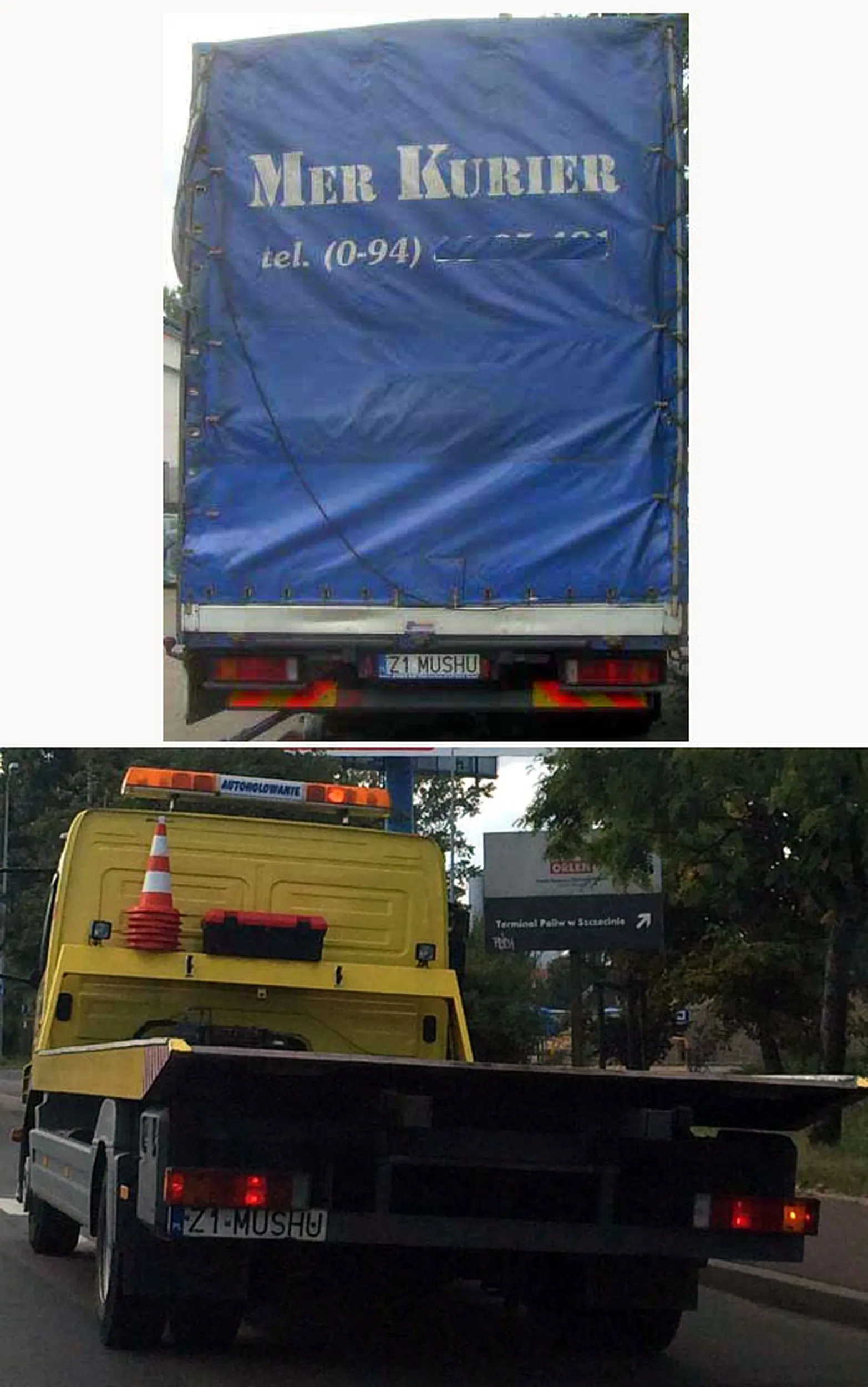 Fajny numer, blacha Z1 MUSHU