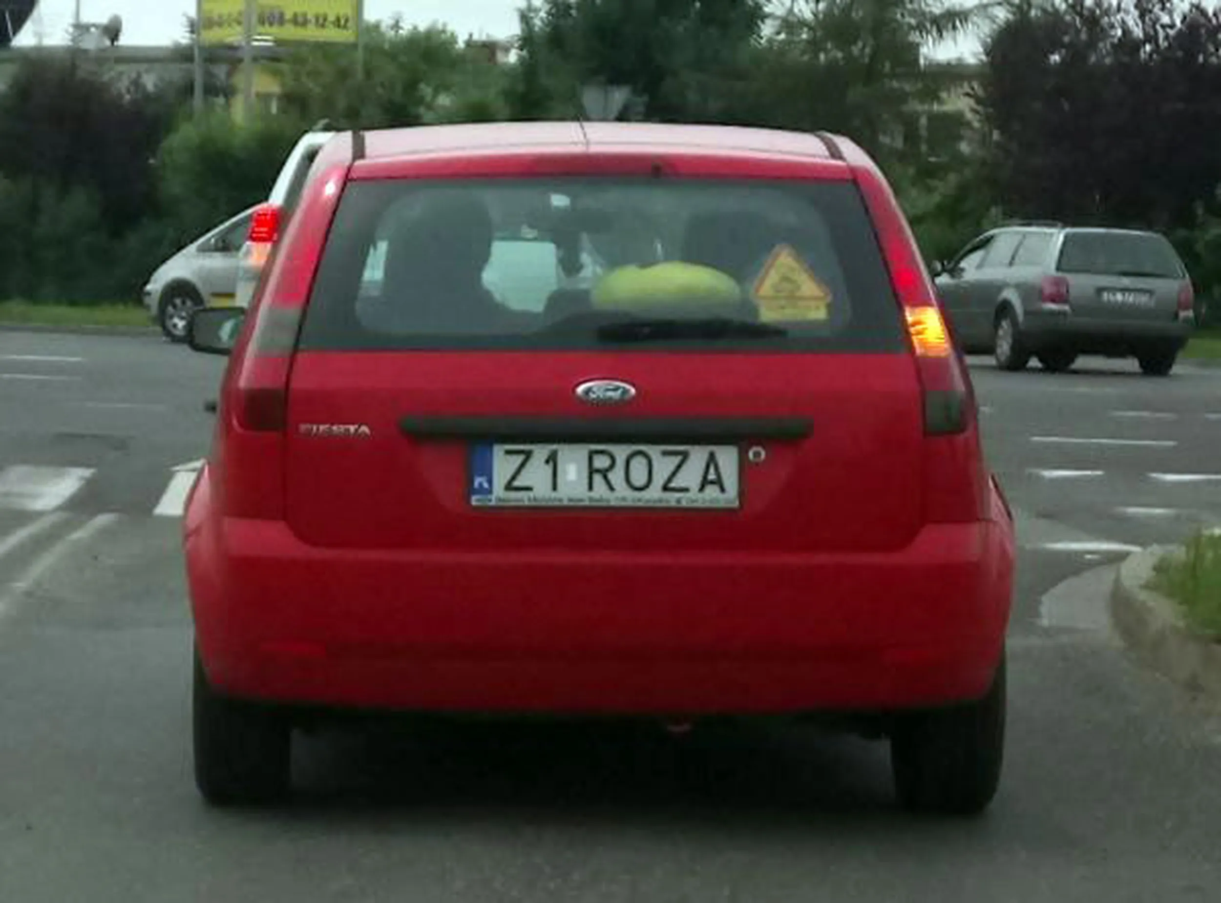 Fajny numer, blacha Z1 ROZA