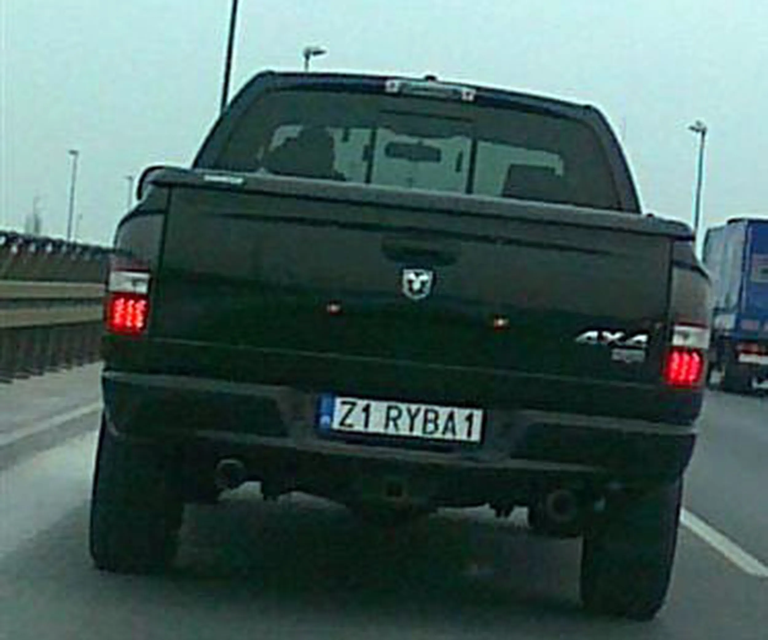 Fajny numer, blacha Z1 RYBA1