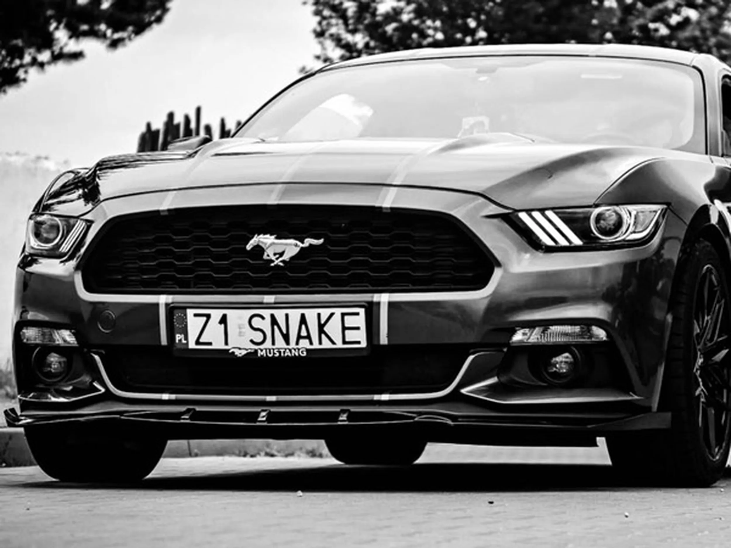 Fajny numer, blacha Z1 SNAKE