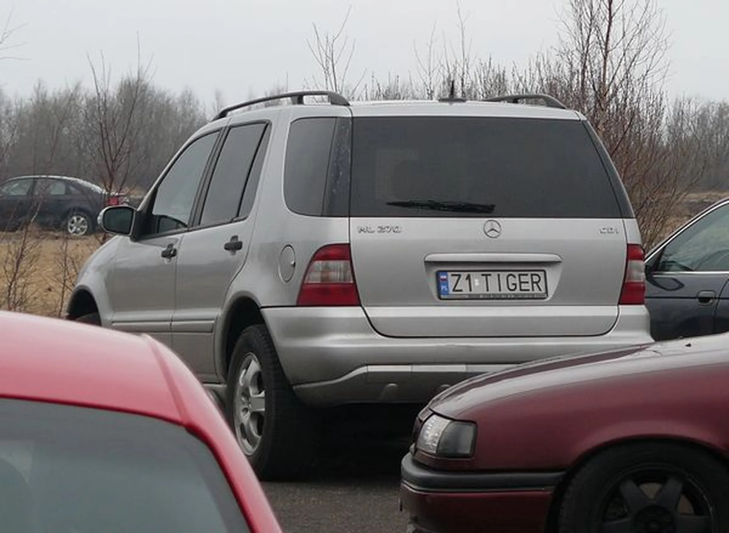 Fajny numer, blacha Z1 TIGER