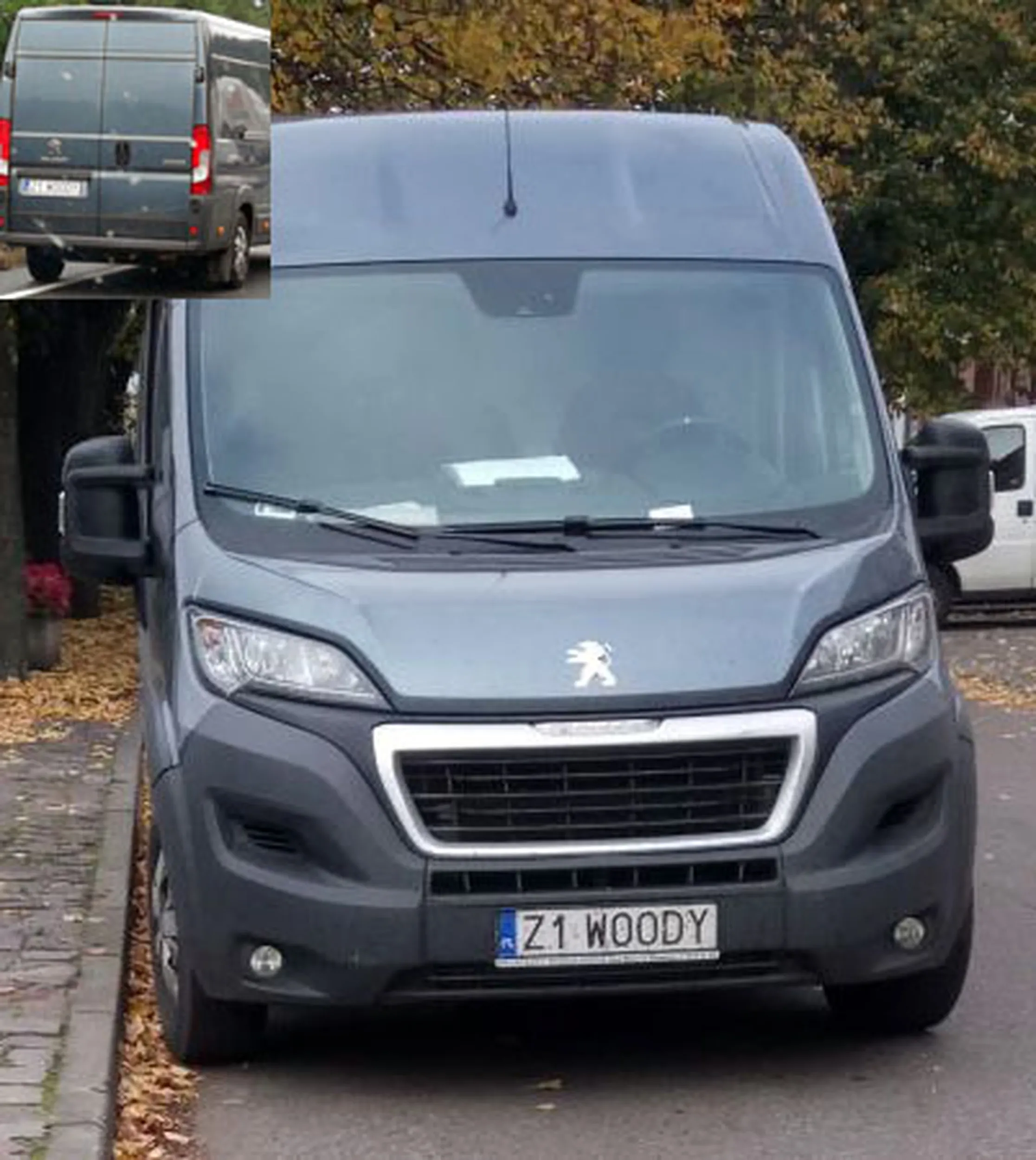 Fajny numer, blacha Z1 WOODY