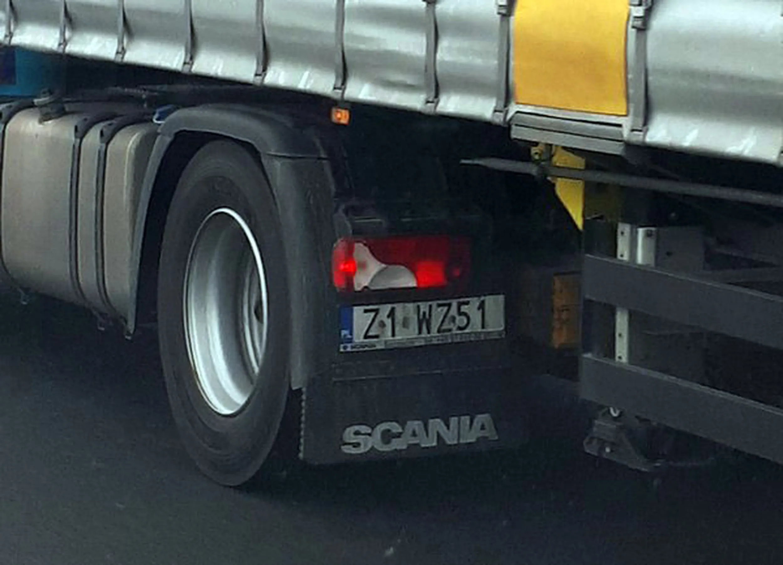 Fajny numer, blacha Z1 WZ51