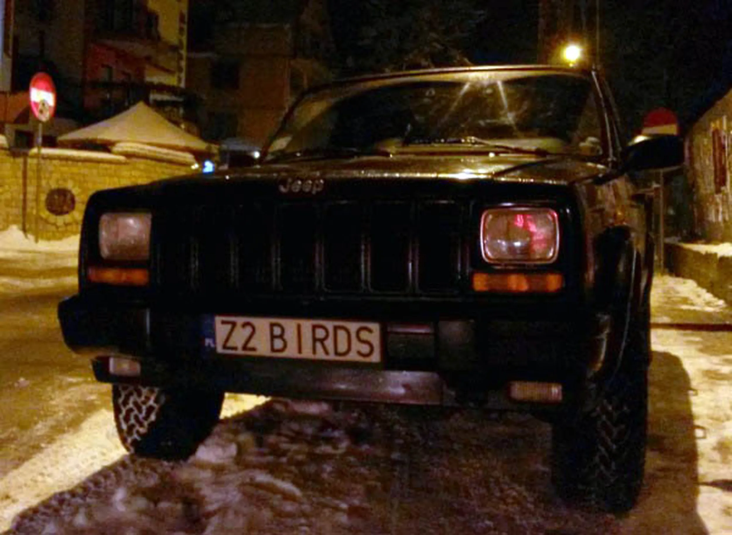 Fajny numer, blacha Z2 BIRDS