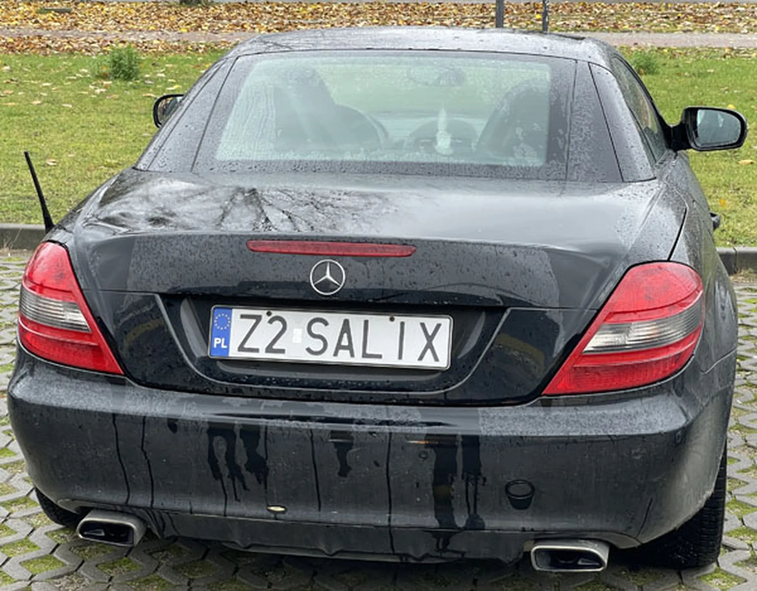 Fajny numer, blacha Z2 SALIX