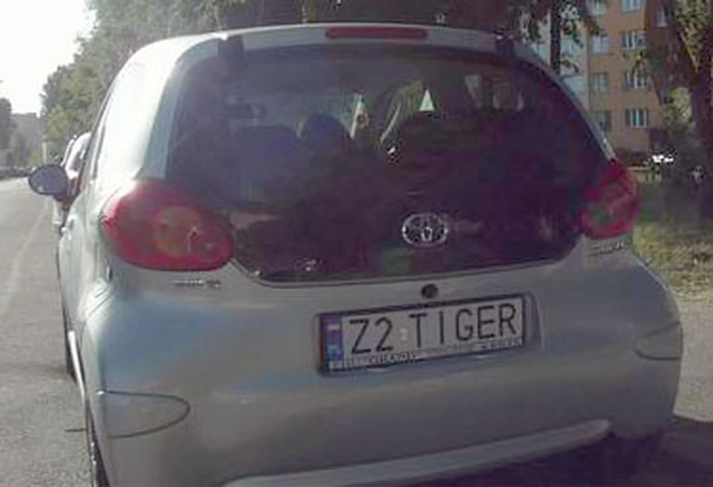 Fajny numer, blacha Z2 TIGER