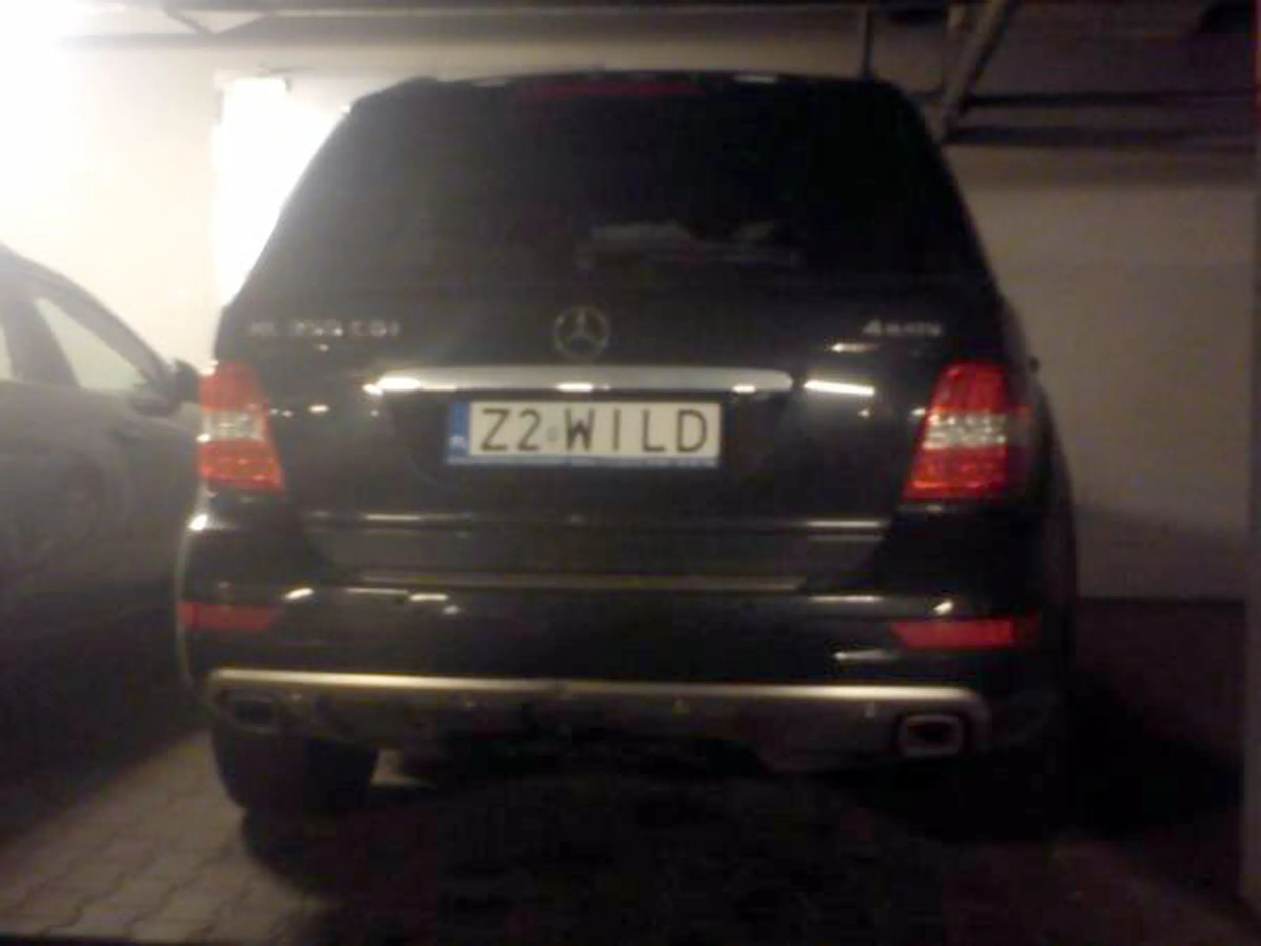 Fajny numer, blacha Z2 WILD