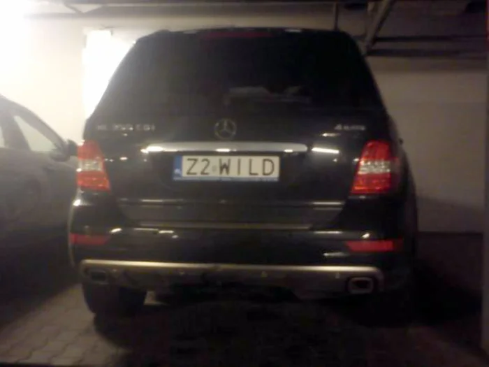 Fajny numer, blacha Z2 WILD