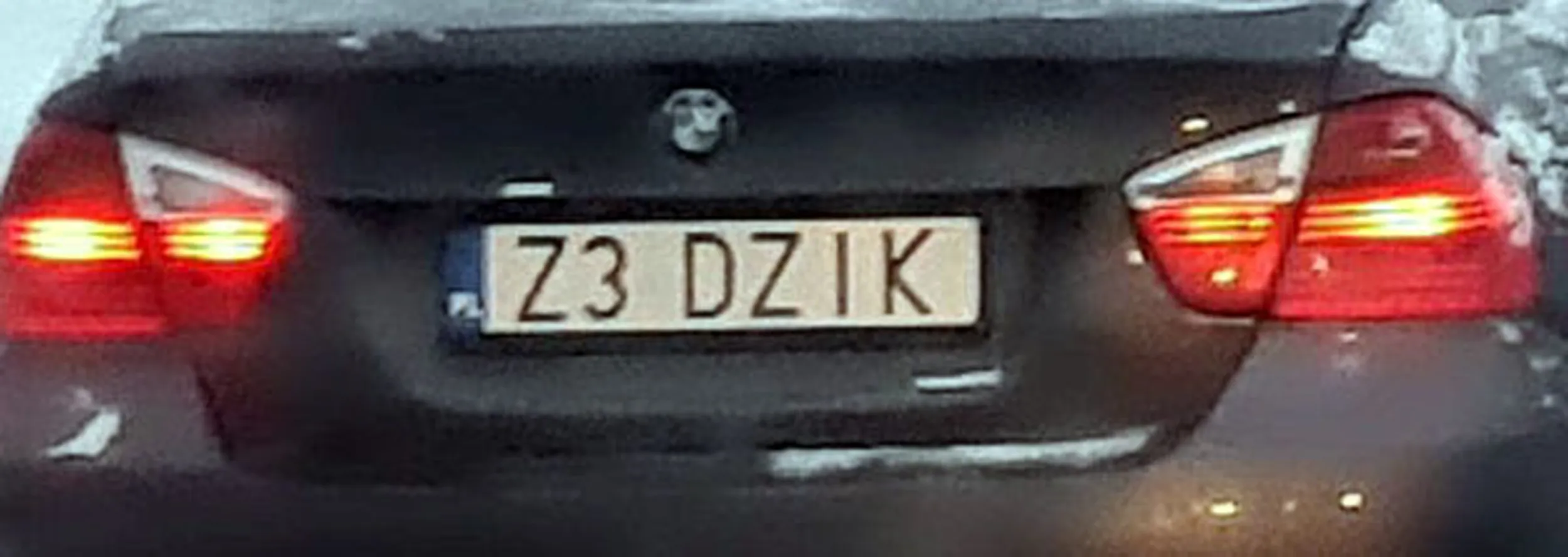 Fajny numer, blacha Z3 DZIK