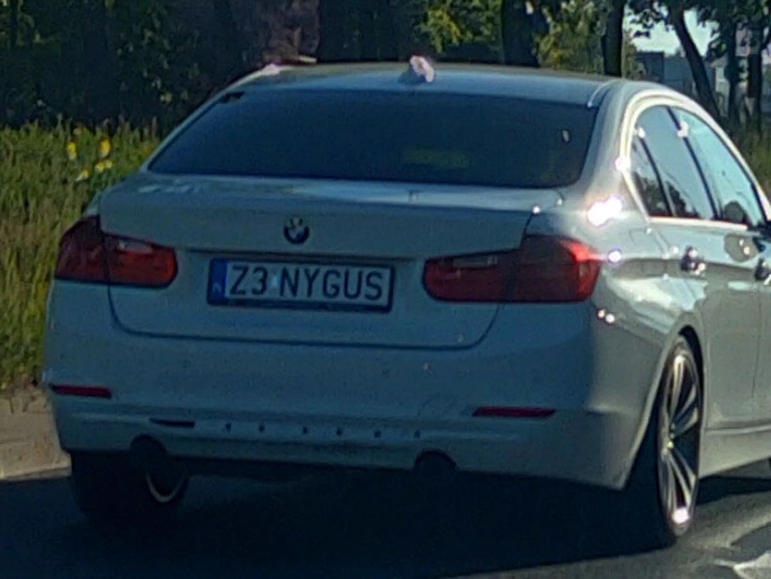 Fajny numer, blacha Z3 NYGUS