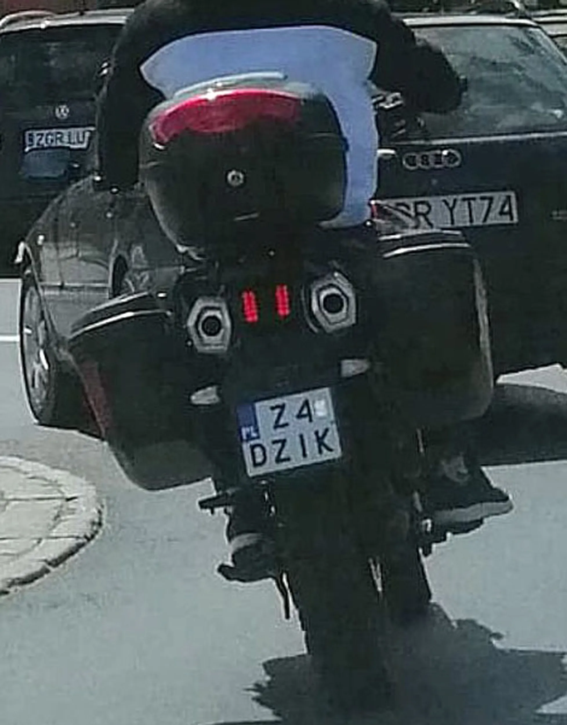 Fajny numer, blacha Z4 DZIK