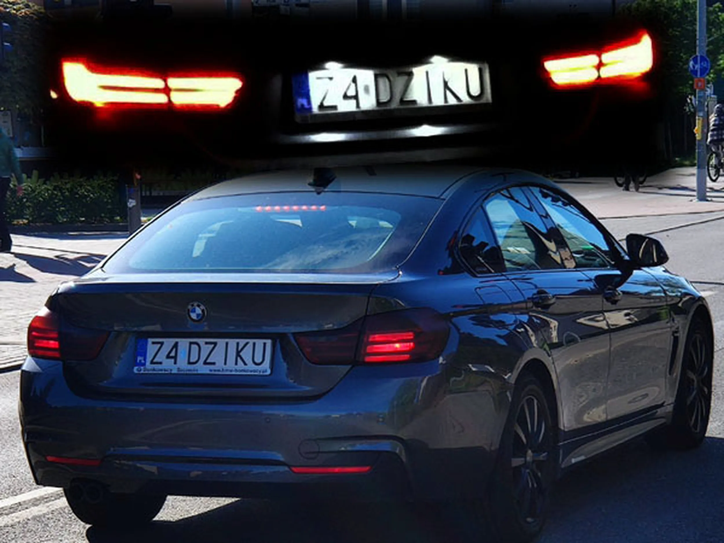 Fajny numer, blacha Z4 DZIKU