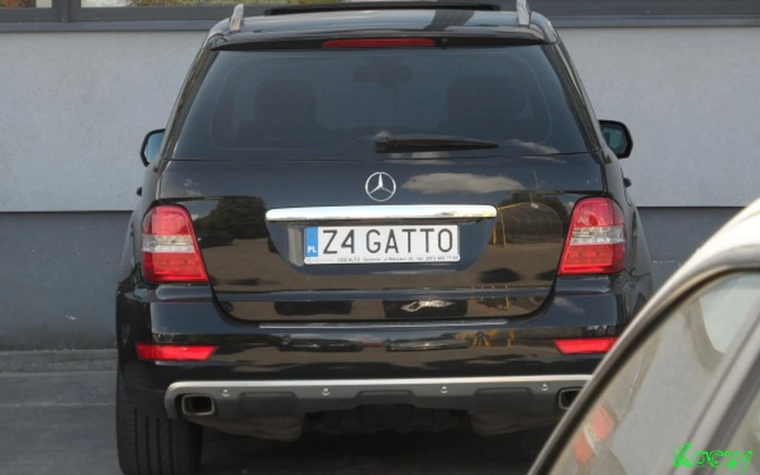 Fajny numer, blacha Z4 GATTO