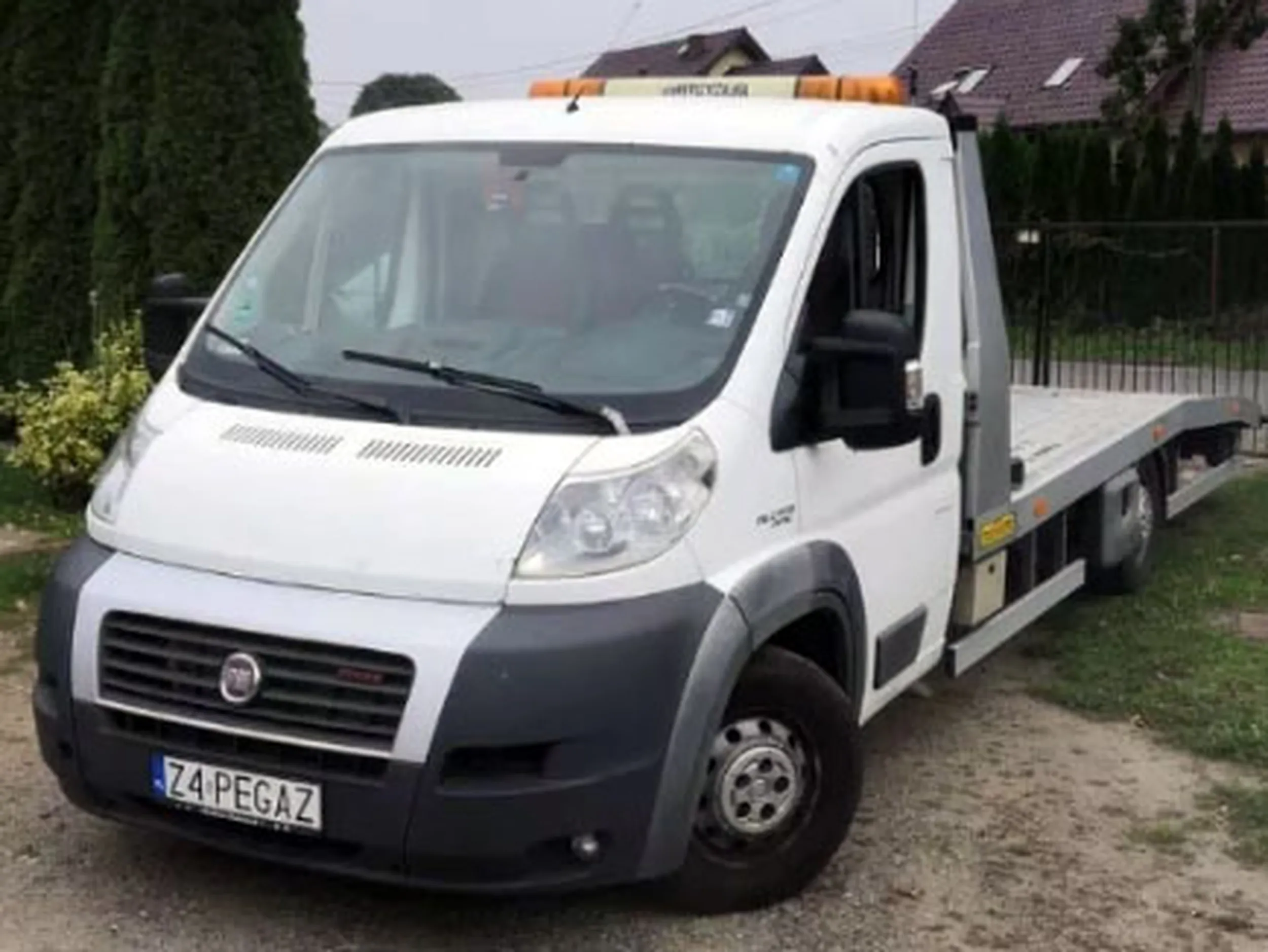 Fajny numer, blacha Z4 PEGAZ