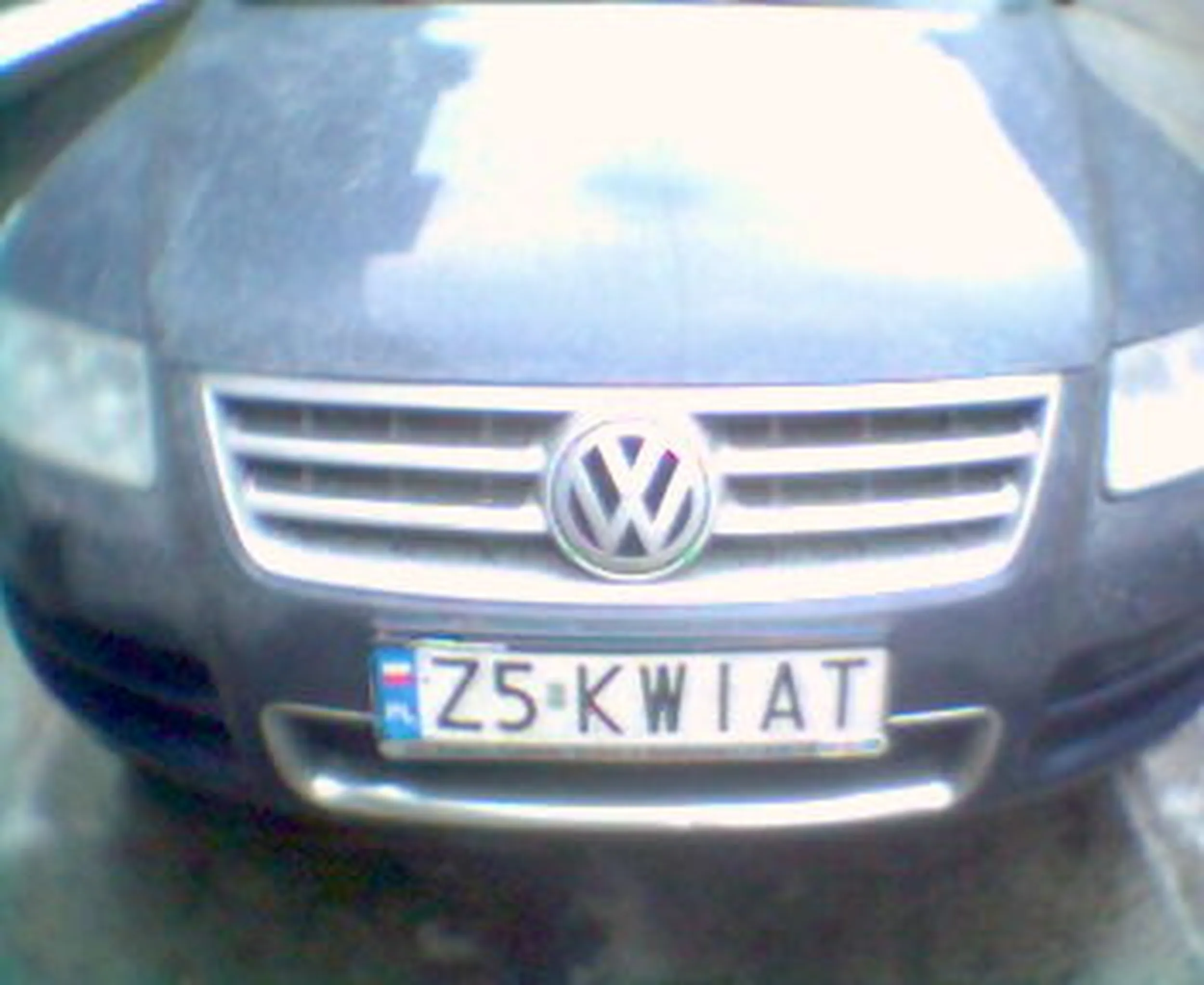 Fajny numer, blacha Z5 KWIAT