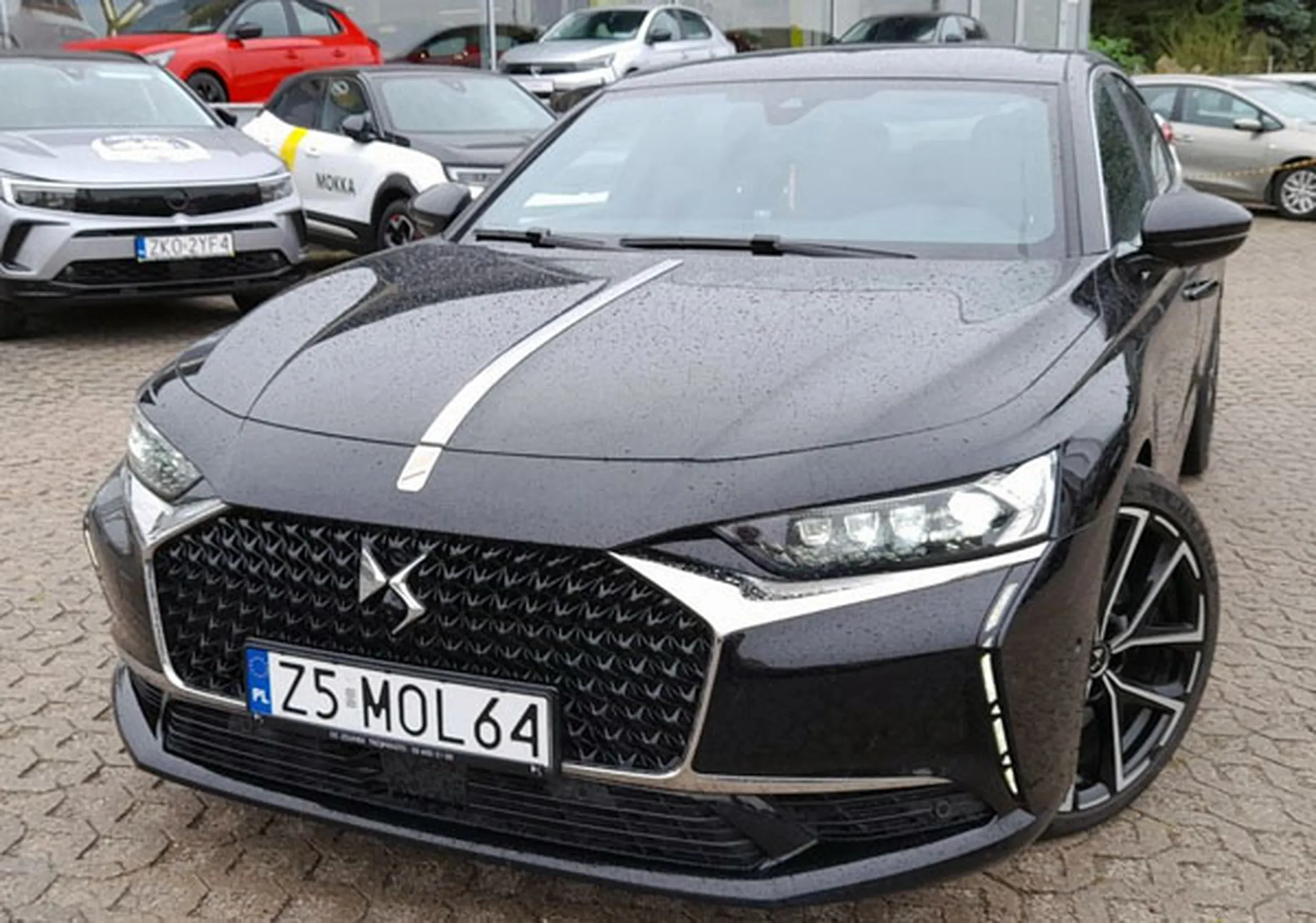 Fajny numer, blacha Z5 MOL64