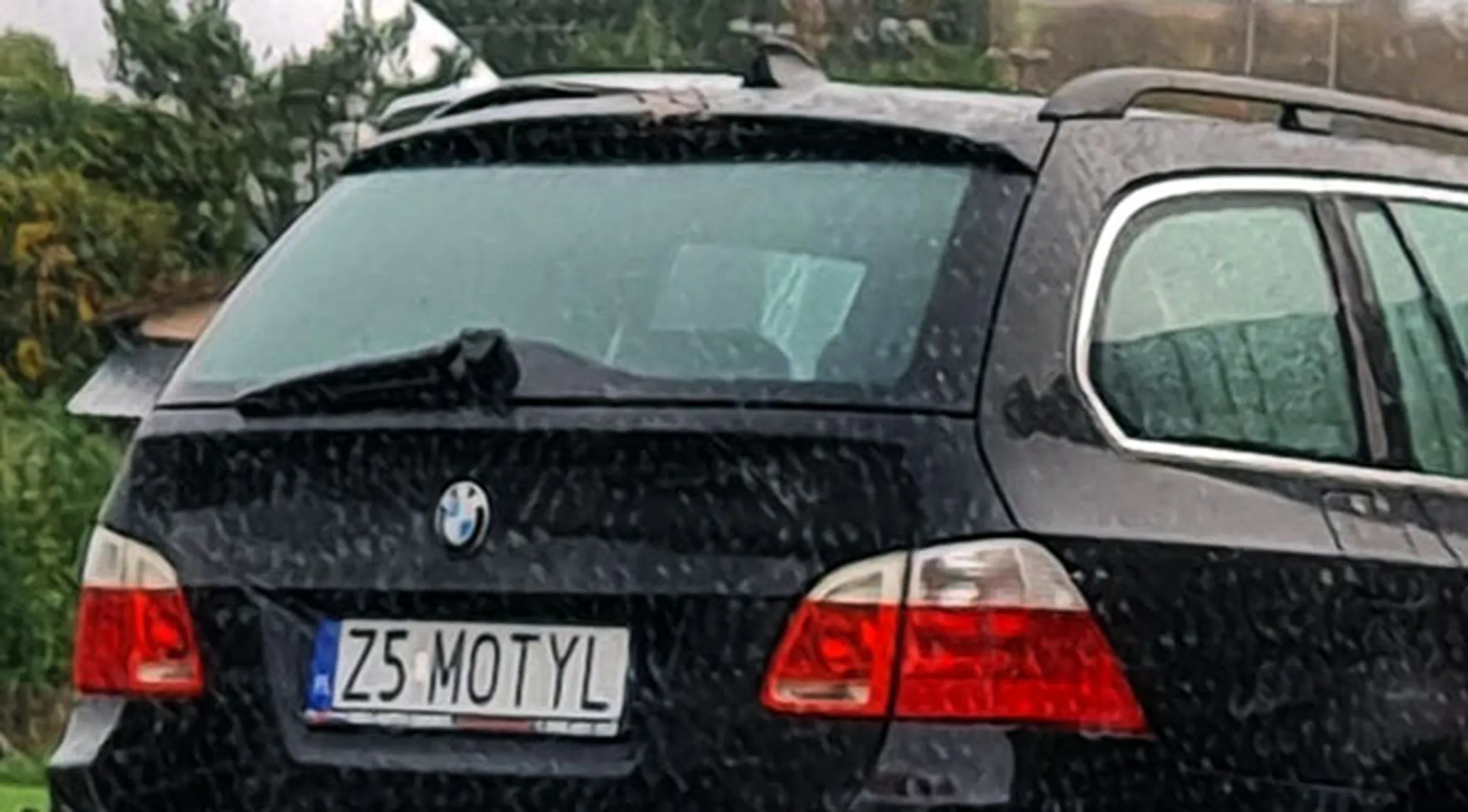Fajny numer, blacha Z5 MOTYL