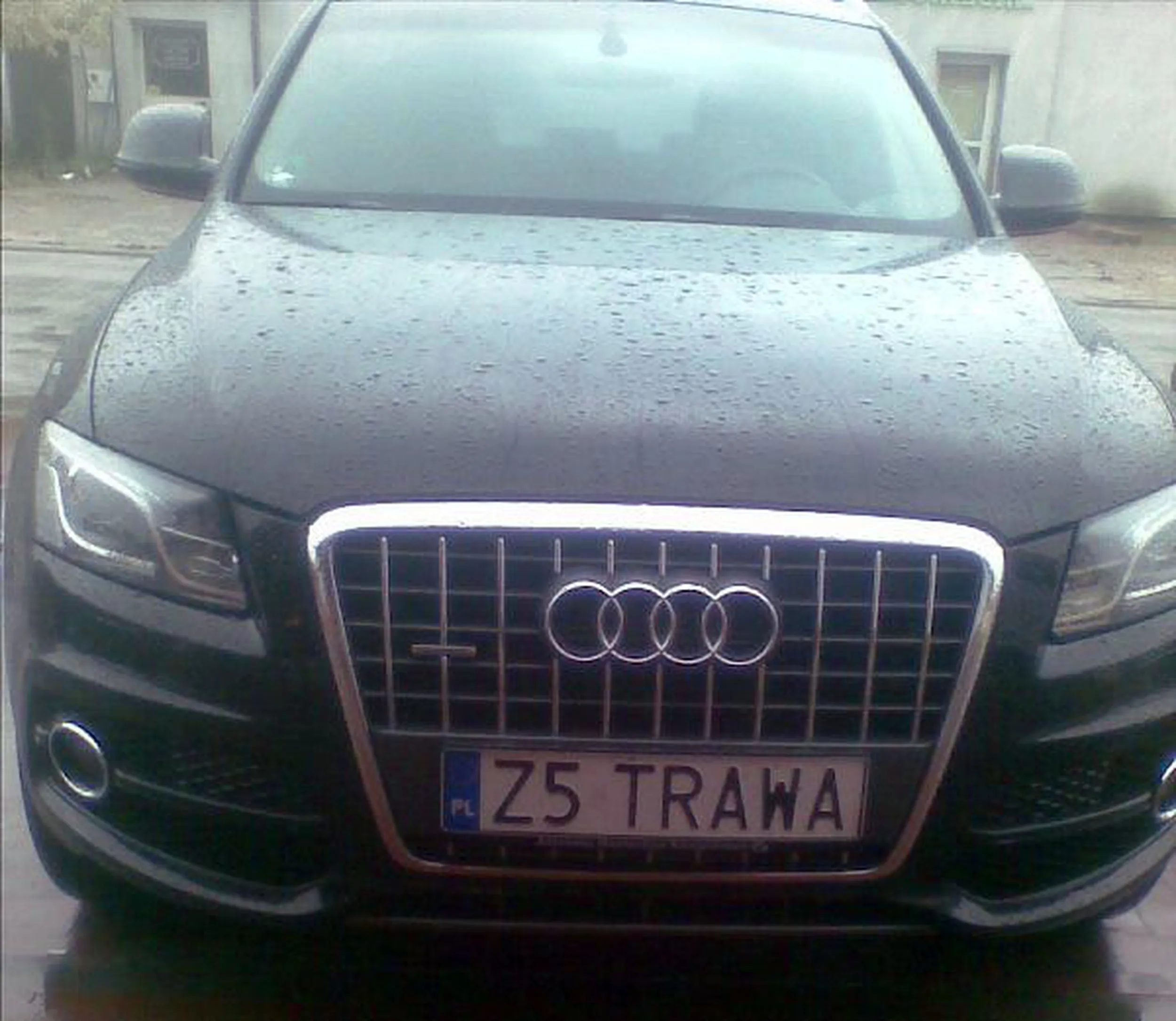 Fajny numer, blacha Z5 TRAWA