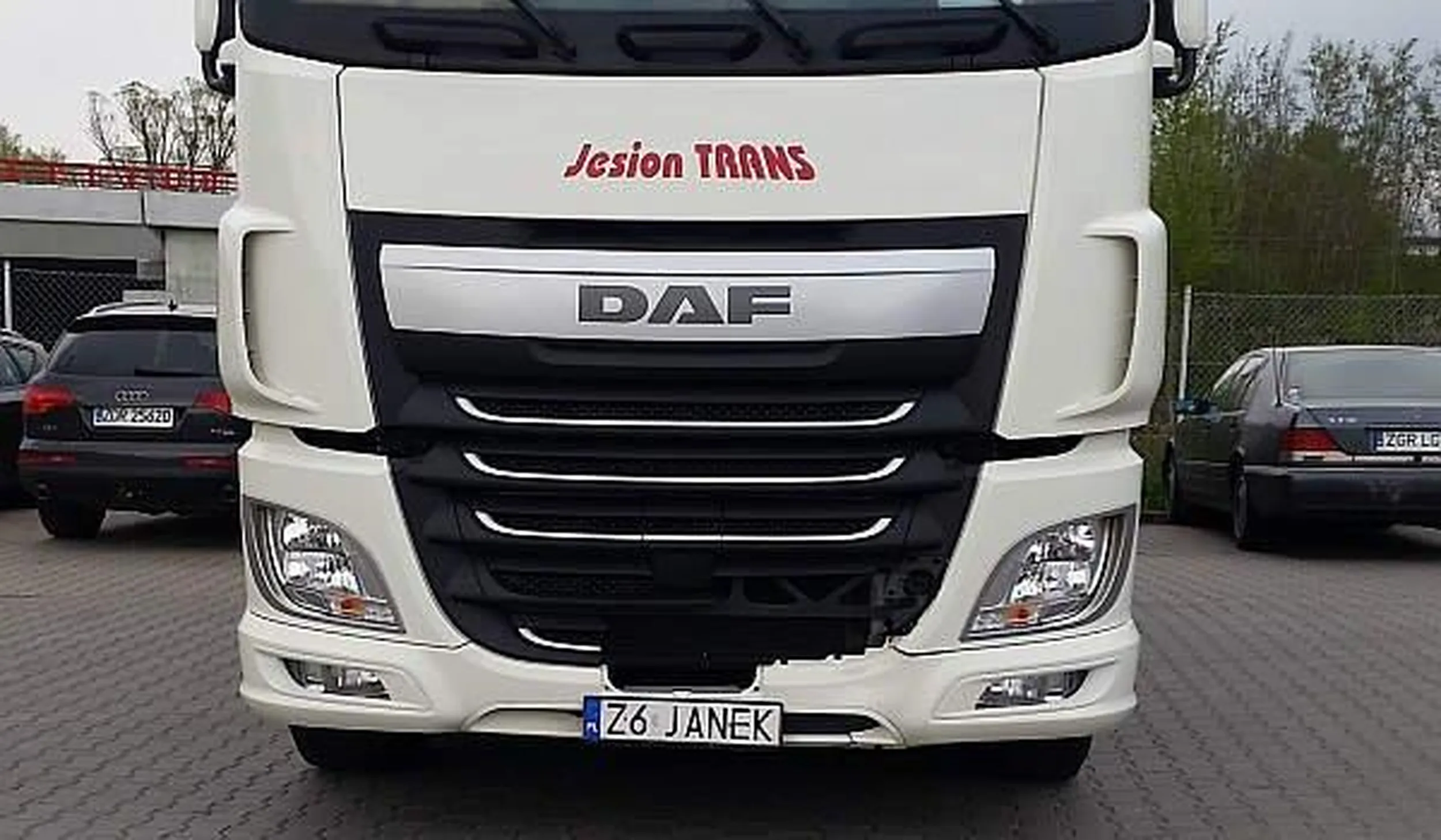 Fajny numer, blacha Z6 JANEK